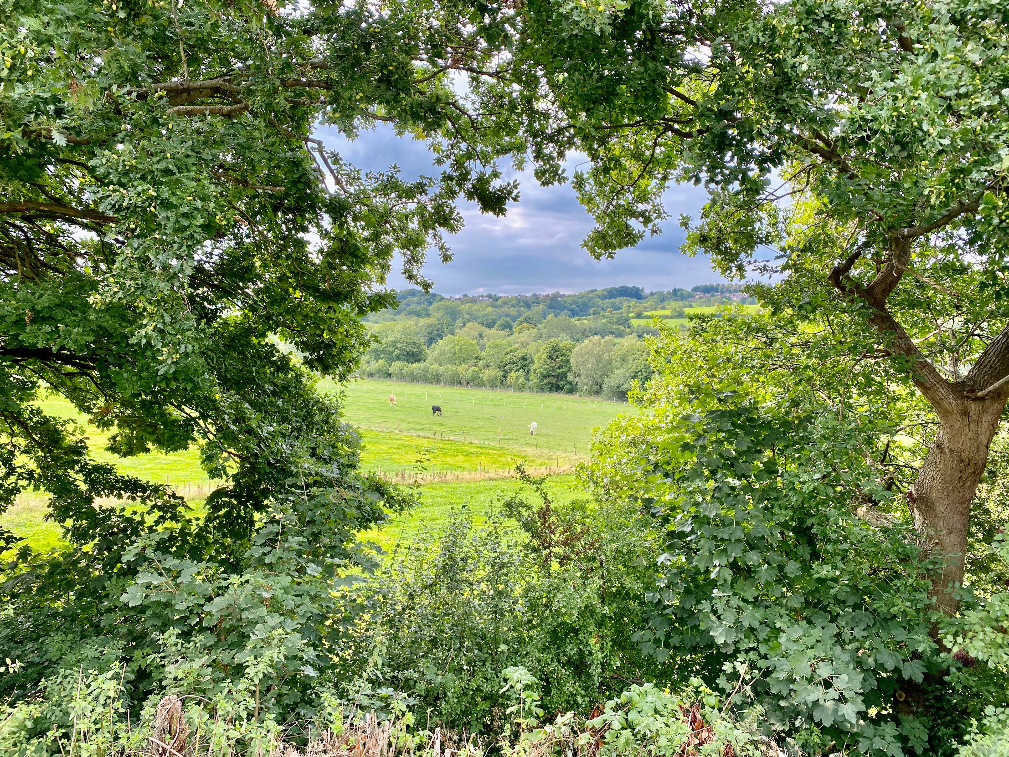 View