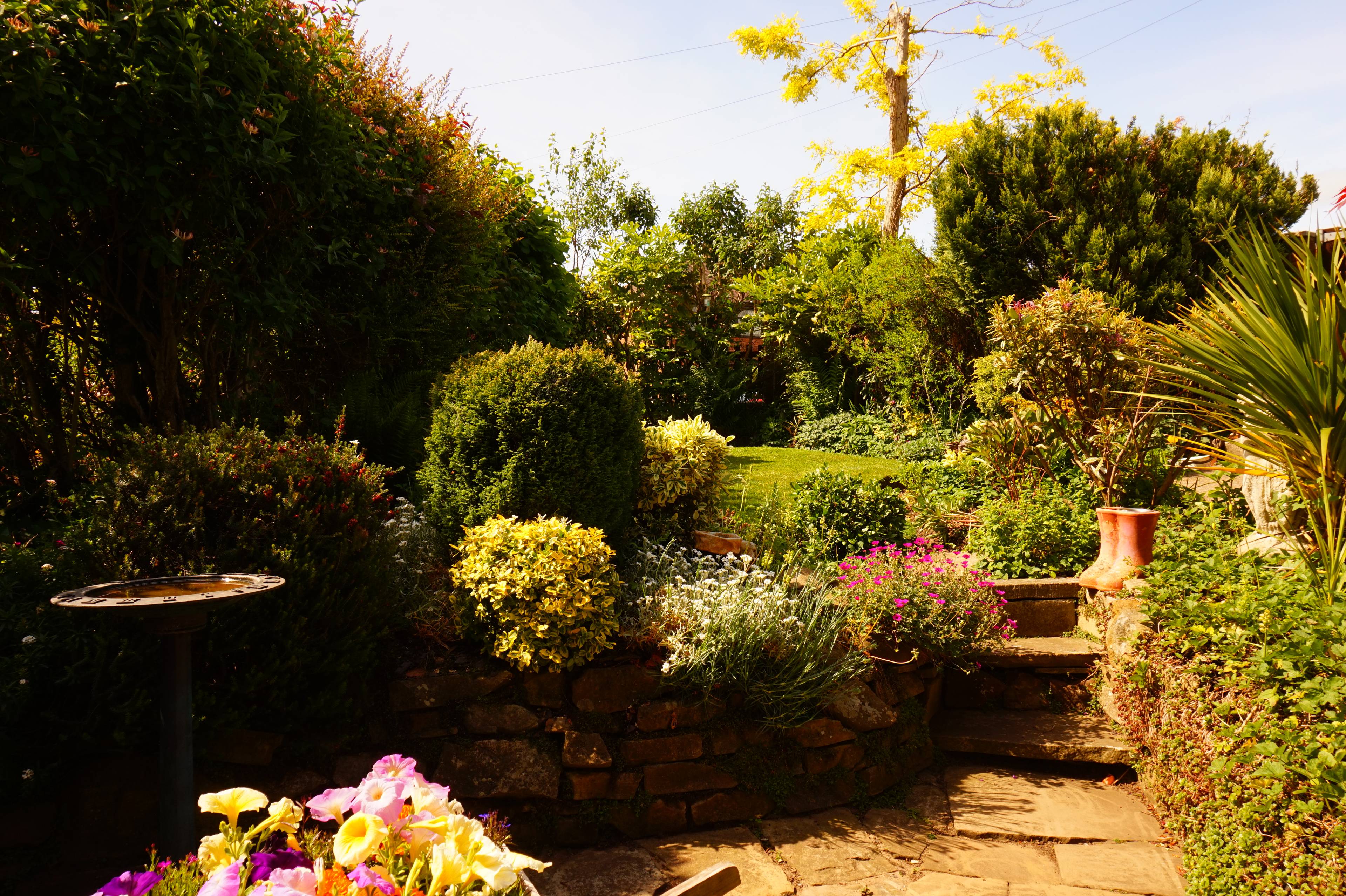 Front Garden