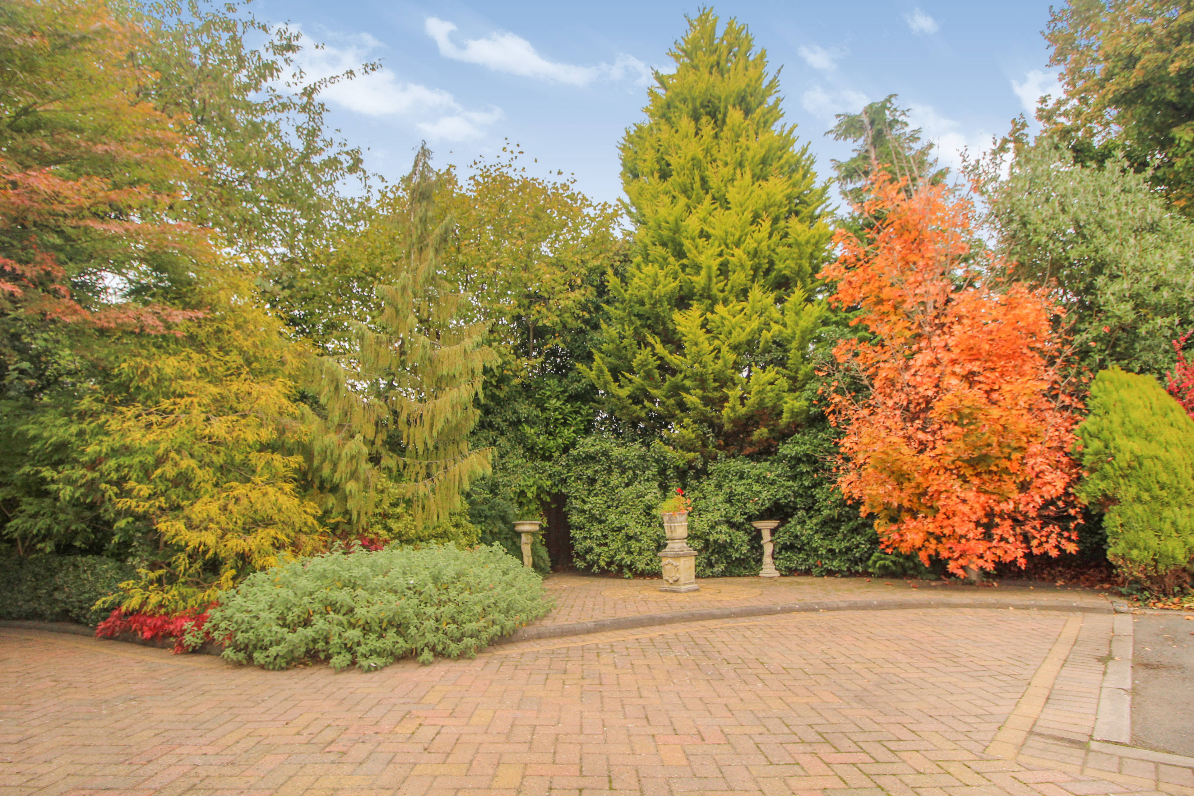 Driveway