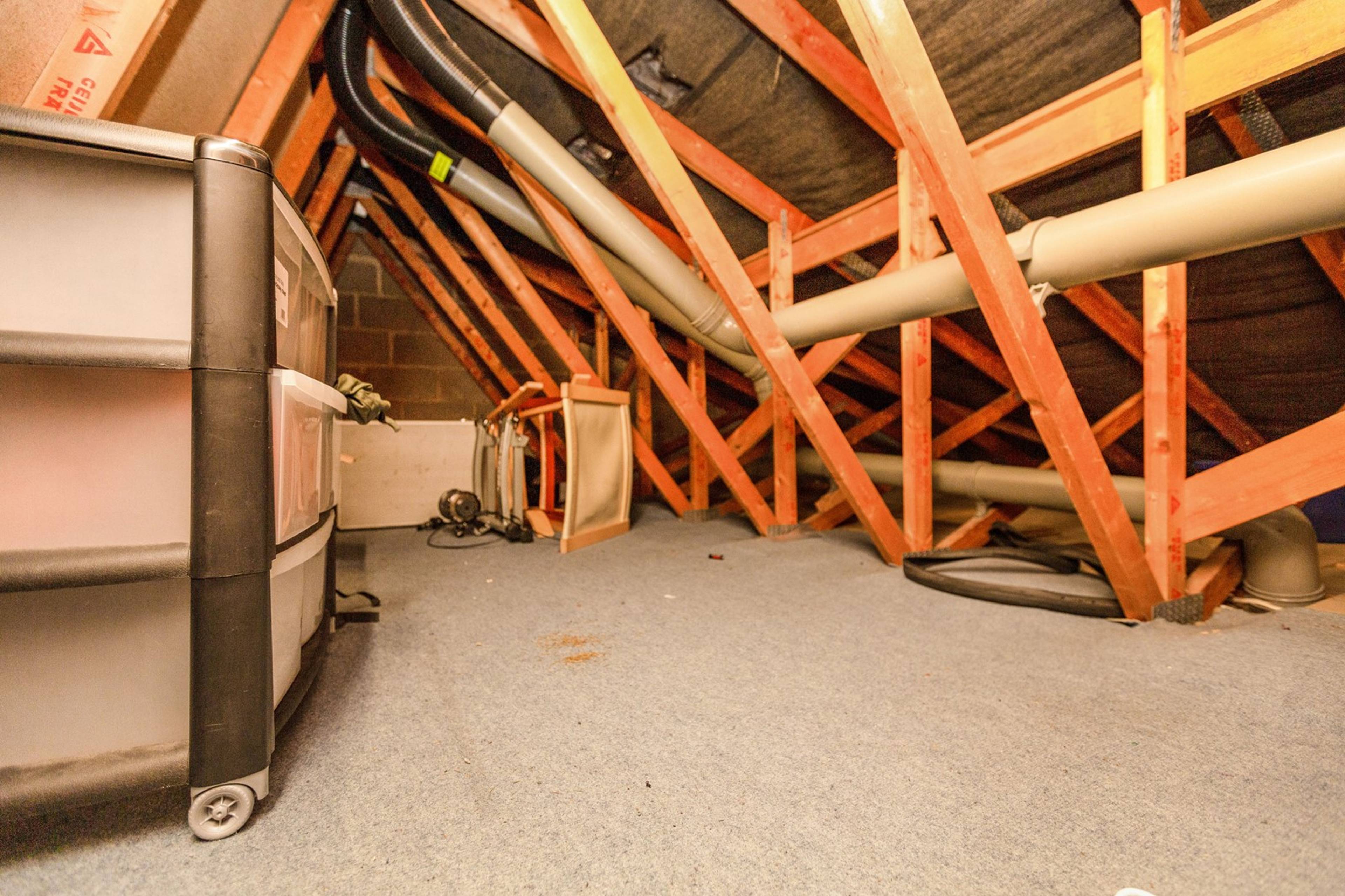 Loft