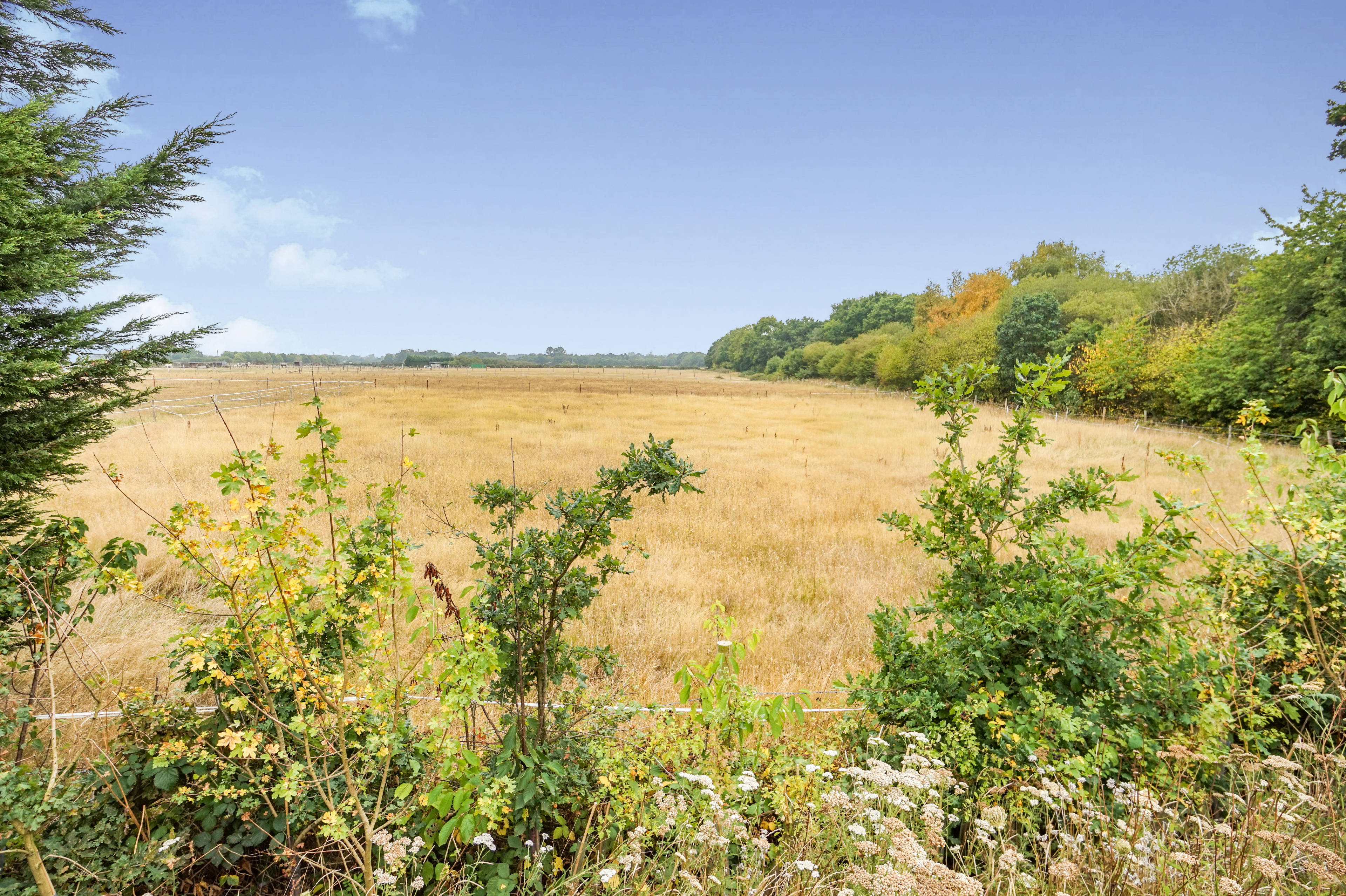 Field