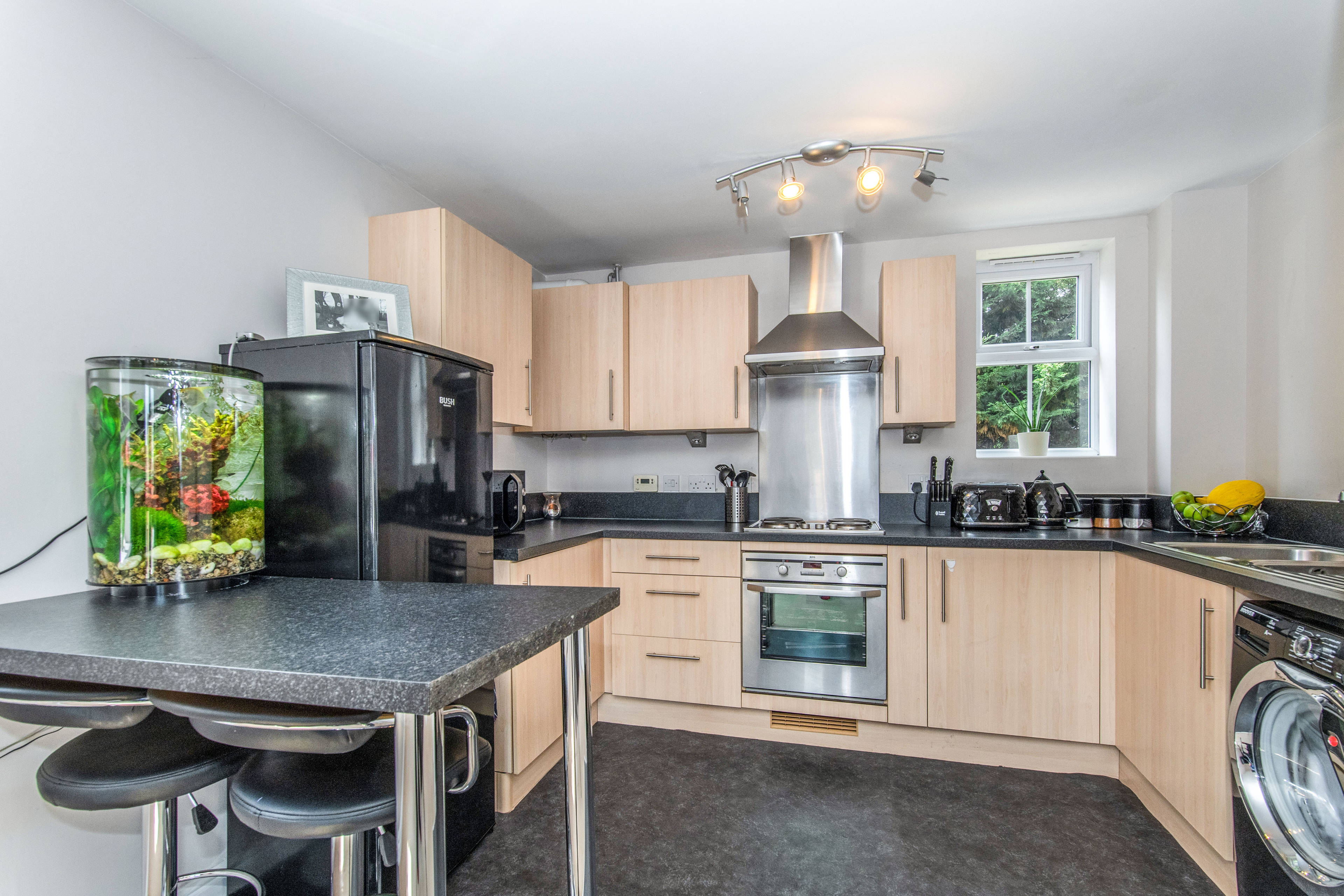 Lounge / Kitchen