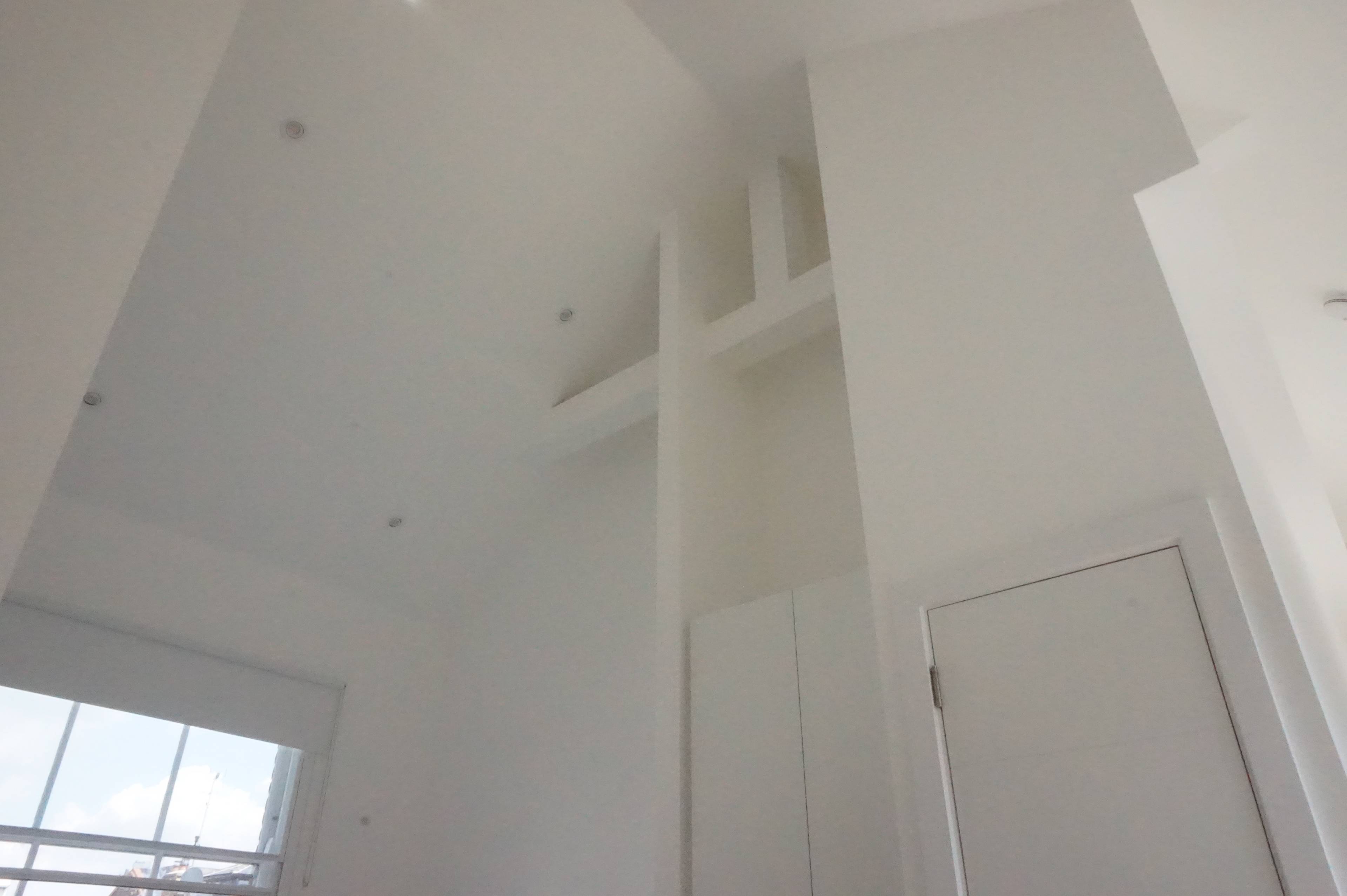 Living Room/Bedroom