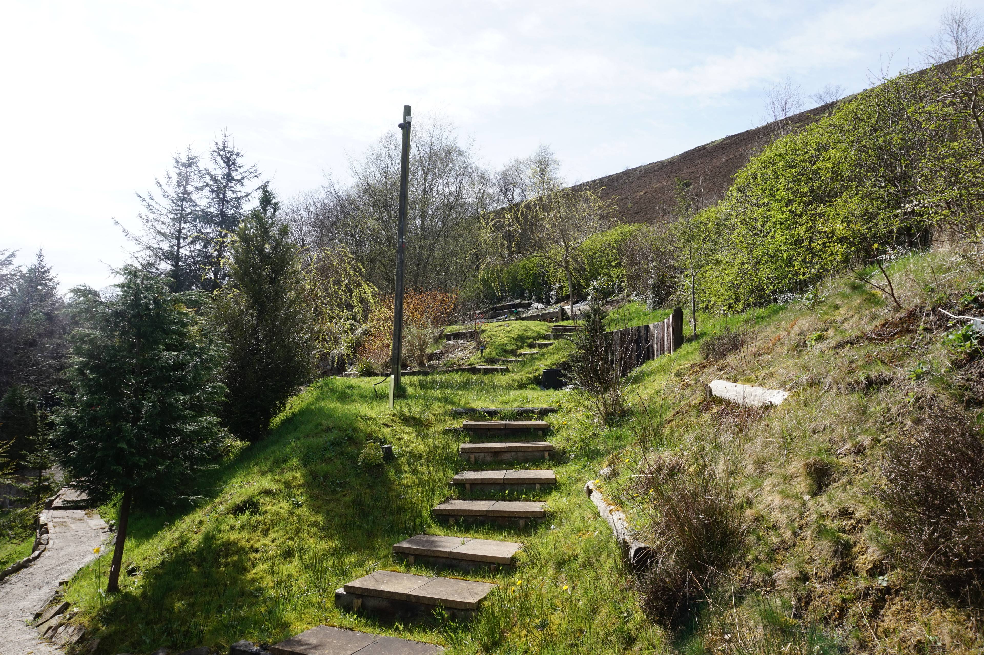 Grounds