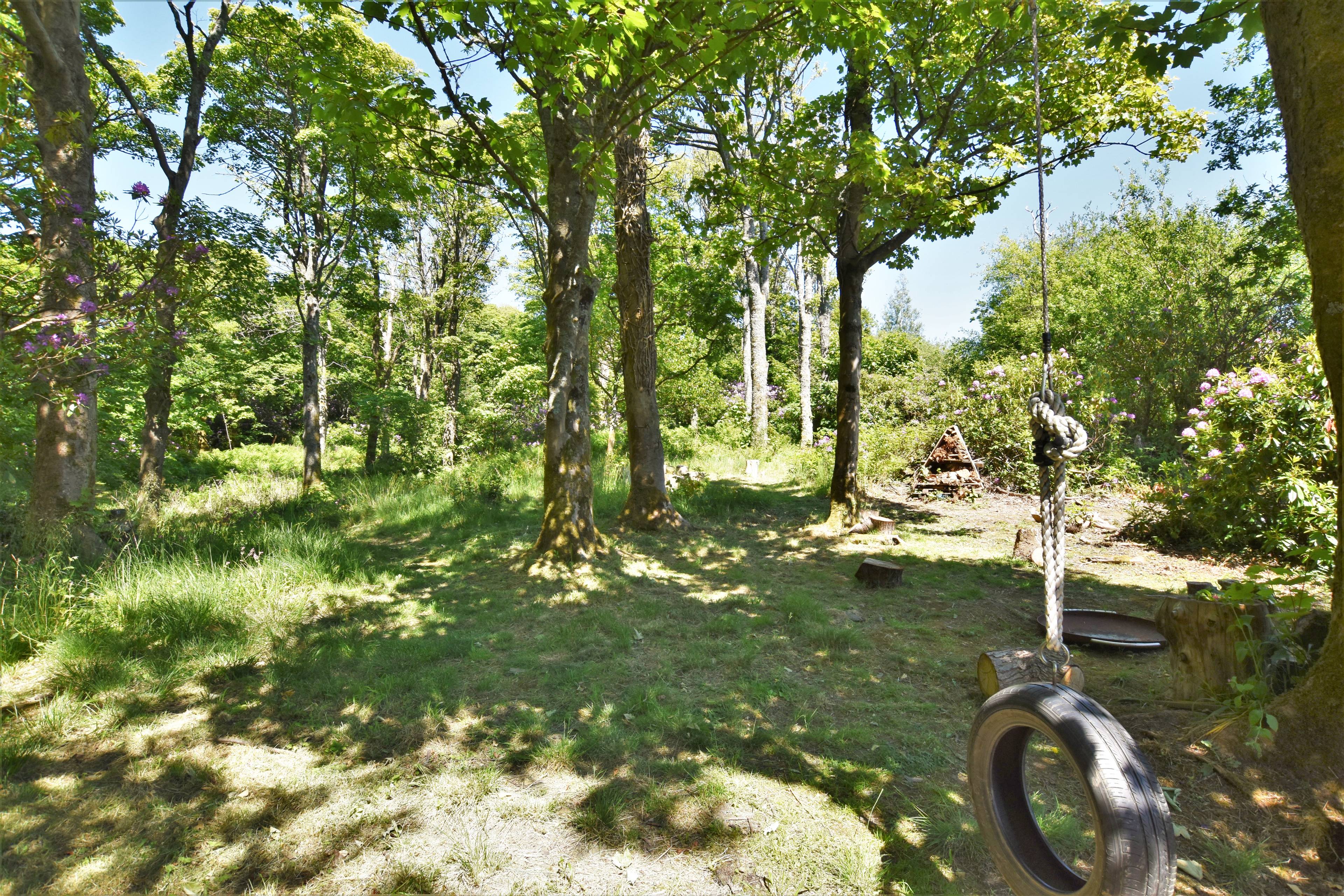 Woodland