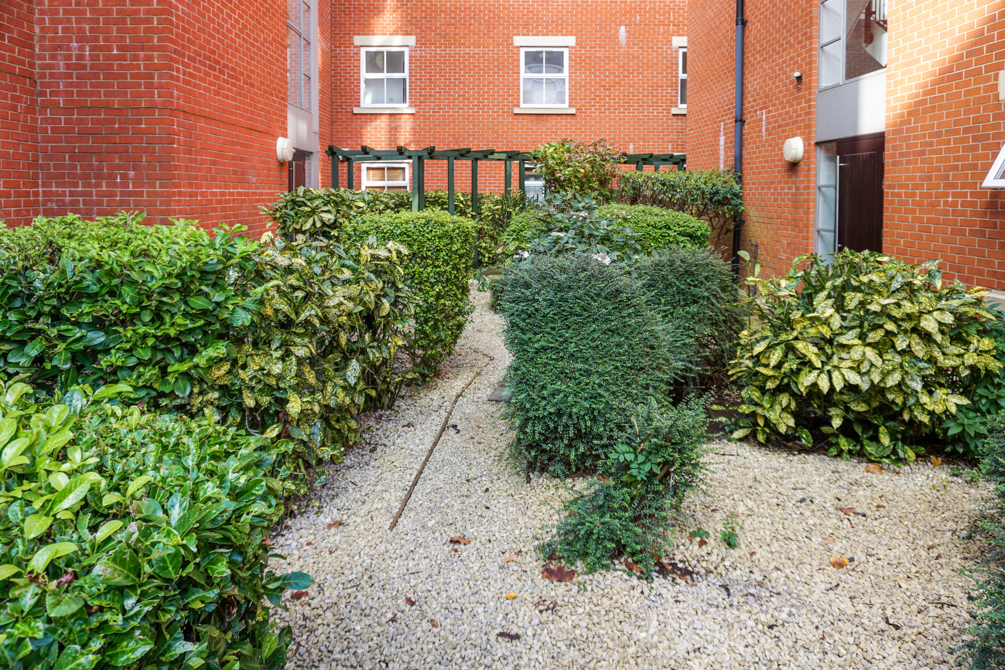 Communal Courtyard