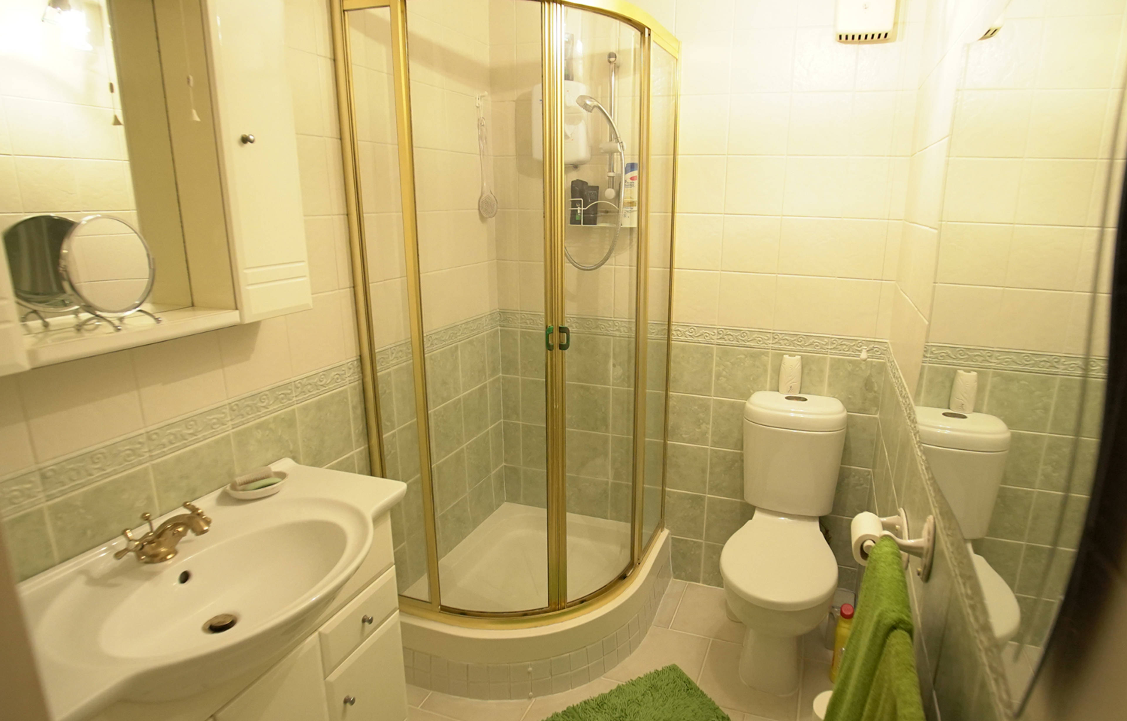 Downstairs Shower