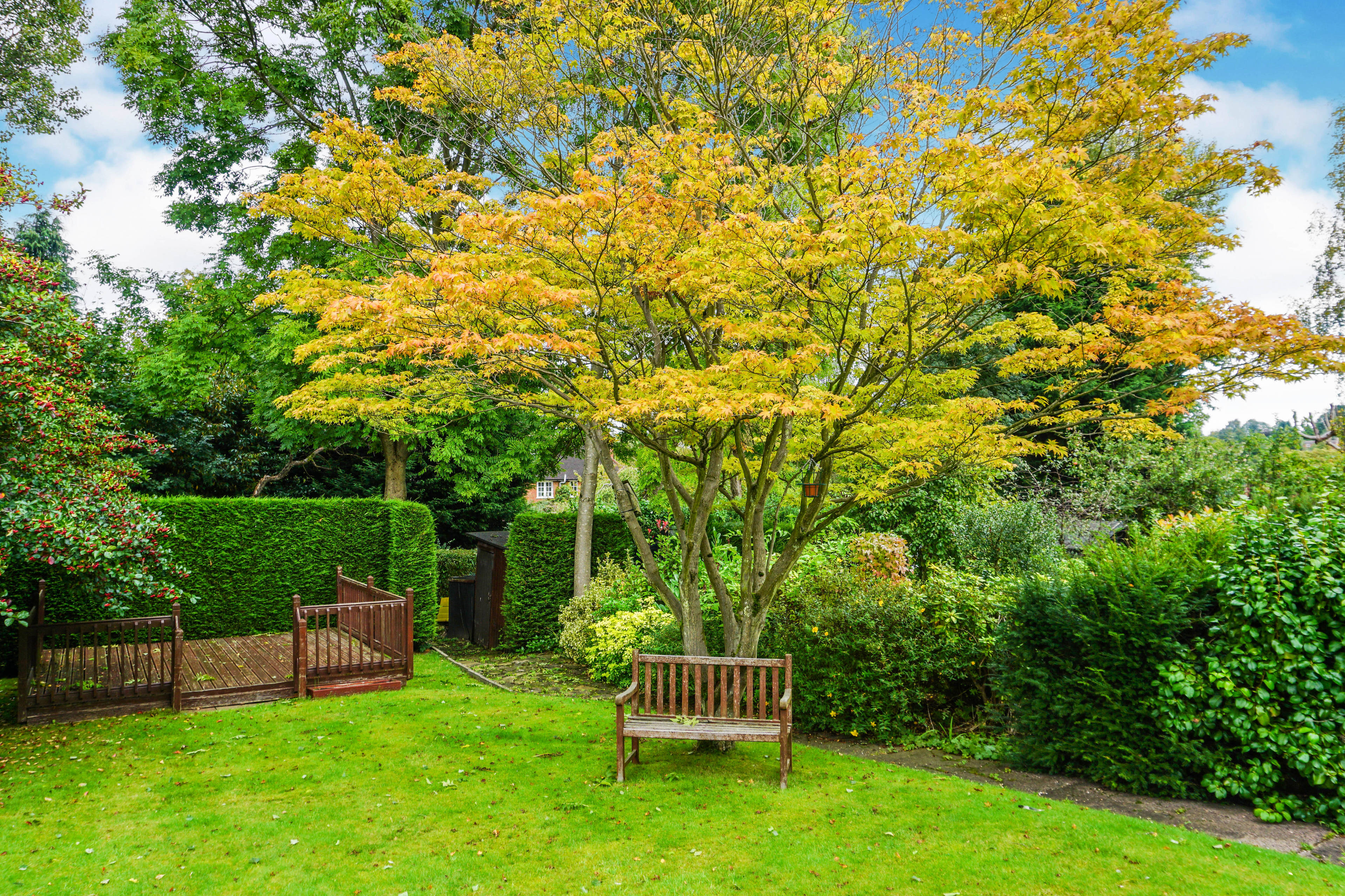 Mature Garden