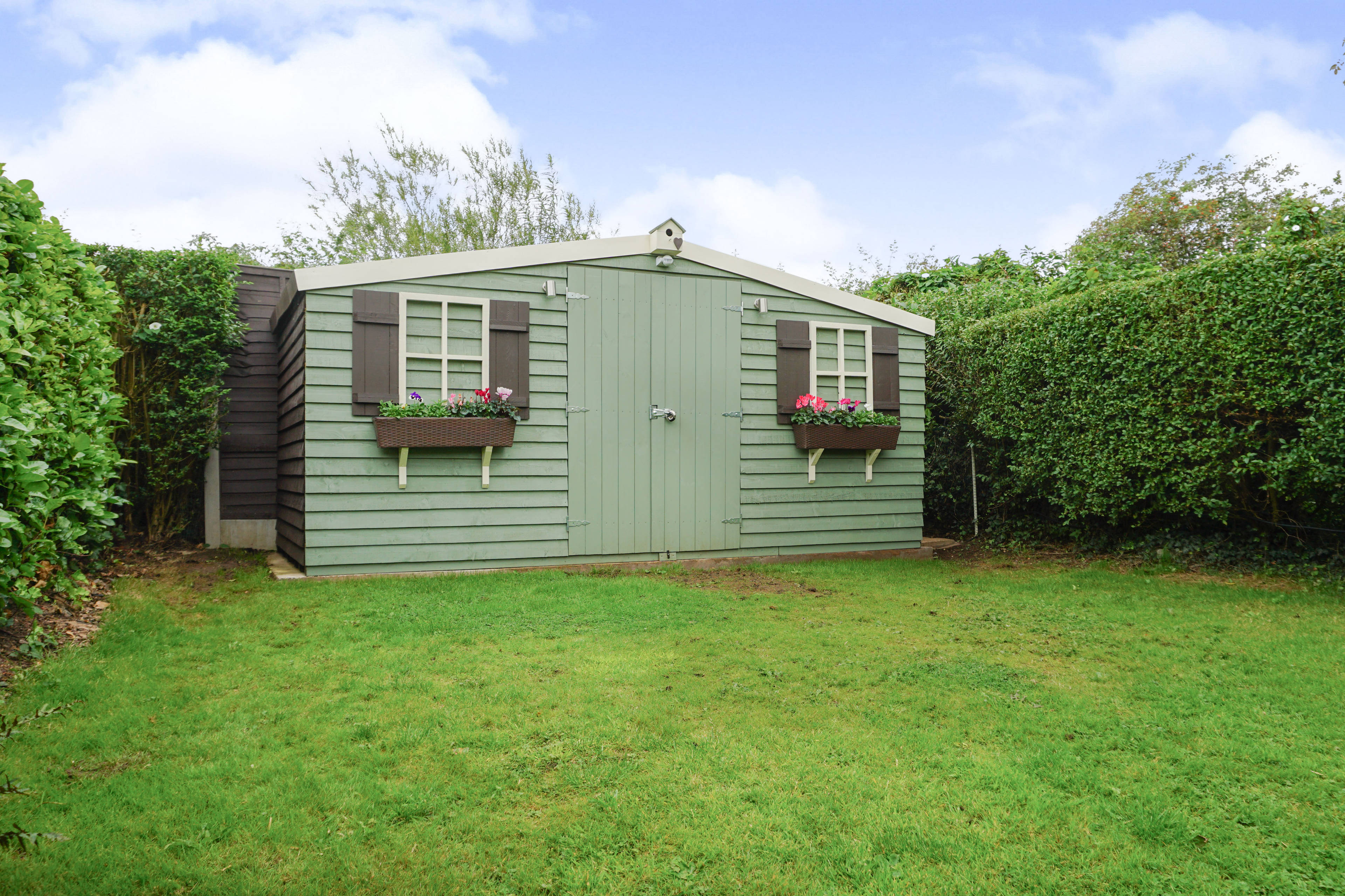 Shed