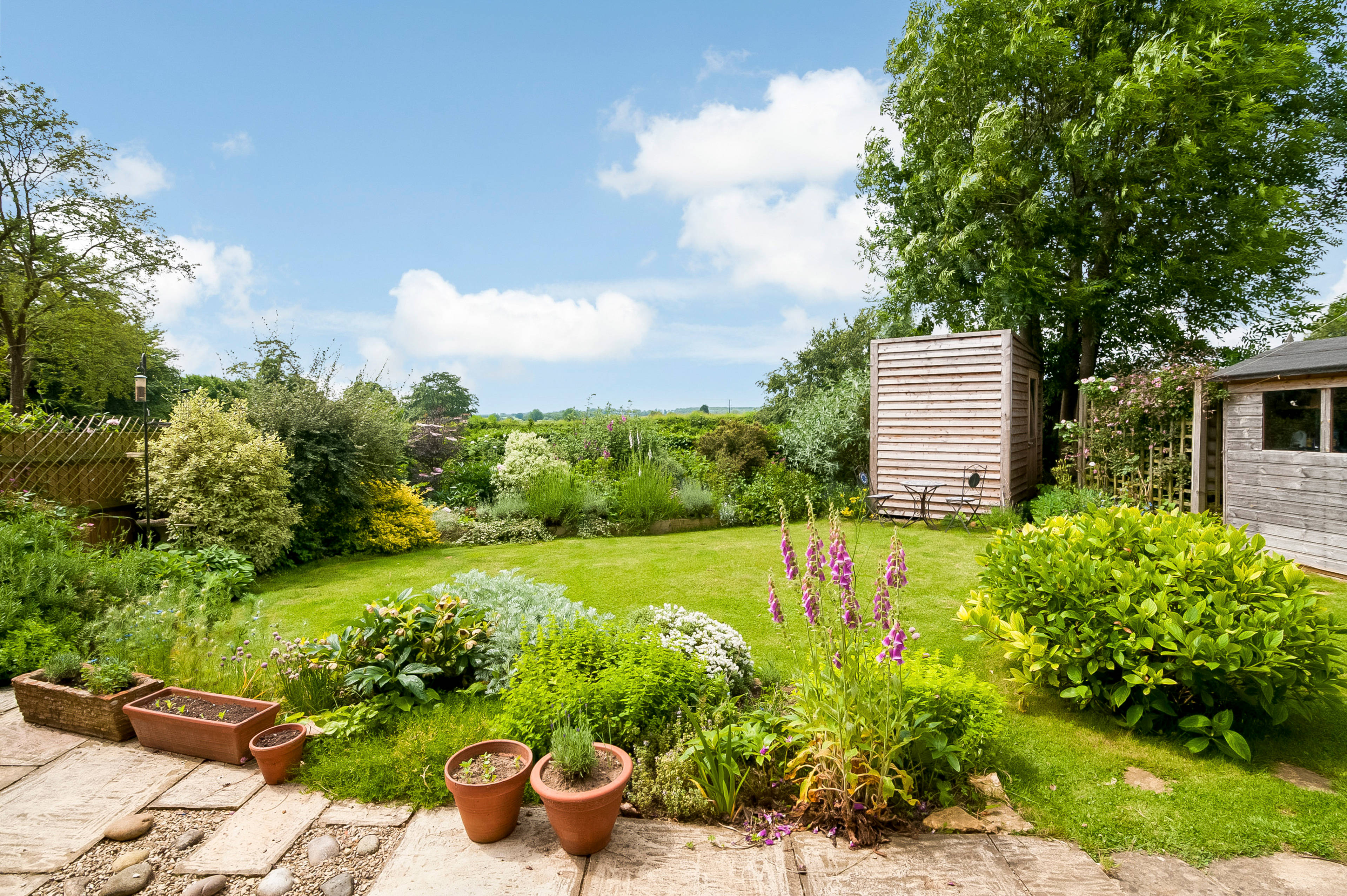 Garden