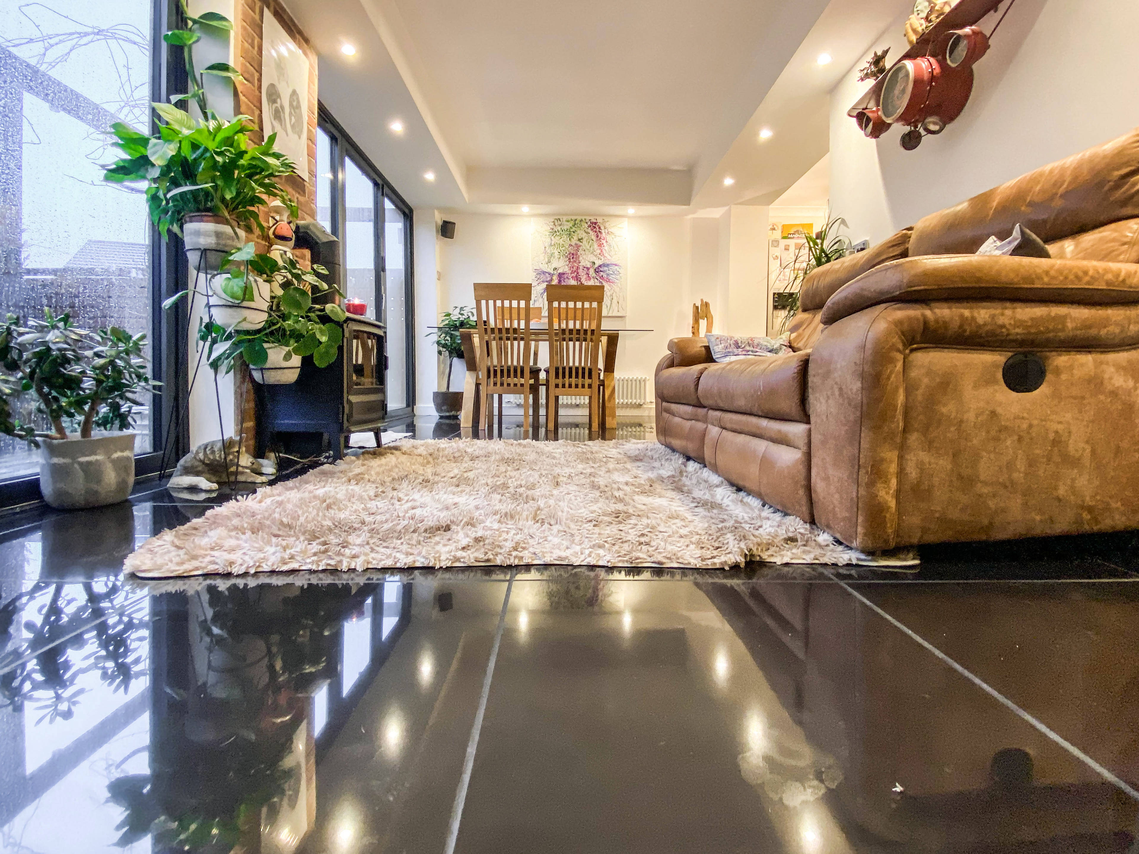Lounge/Dining Room