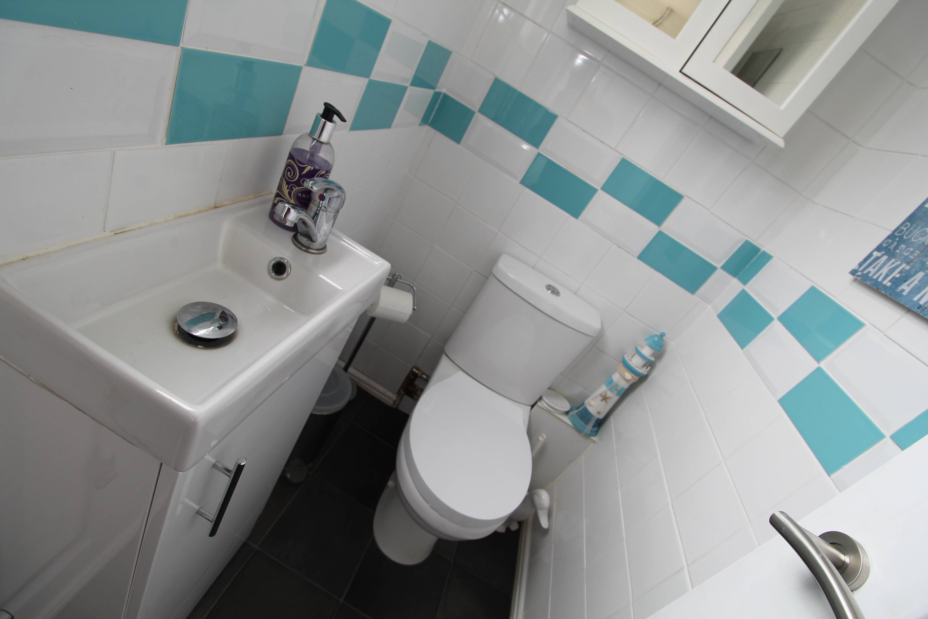Downstairs Cloakroom