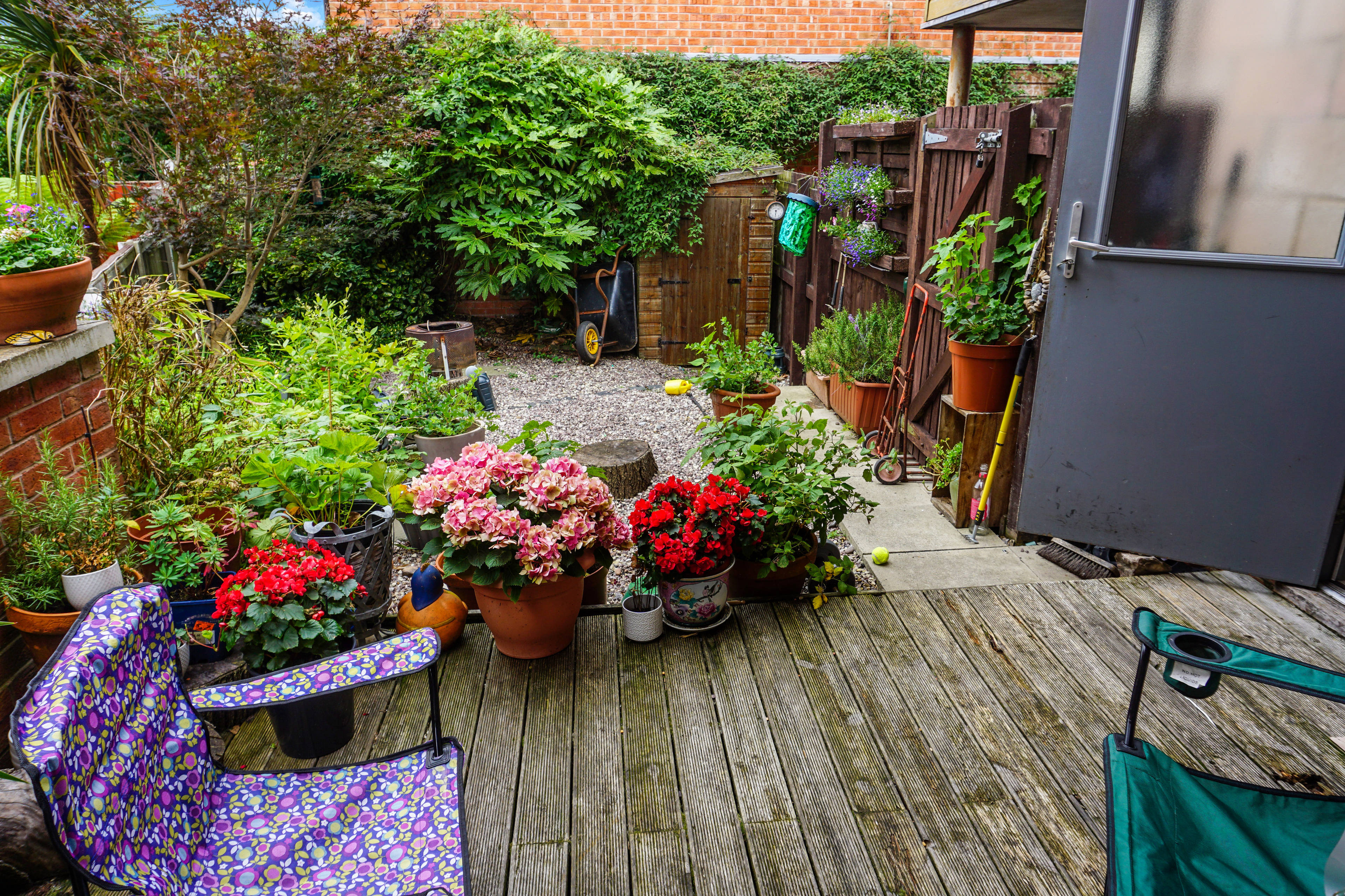 Garden