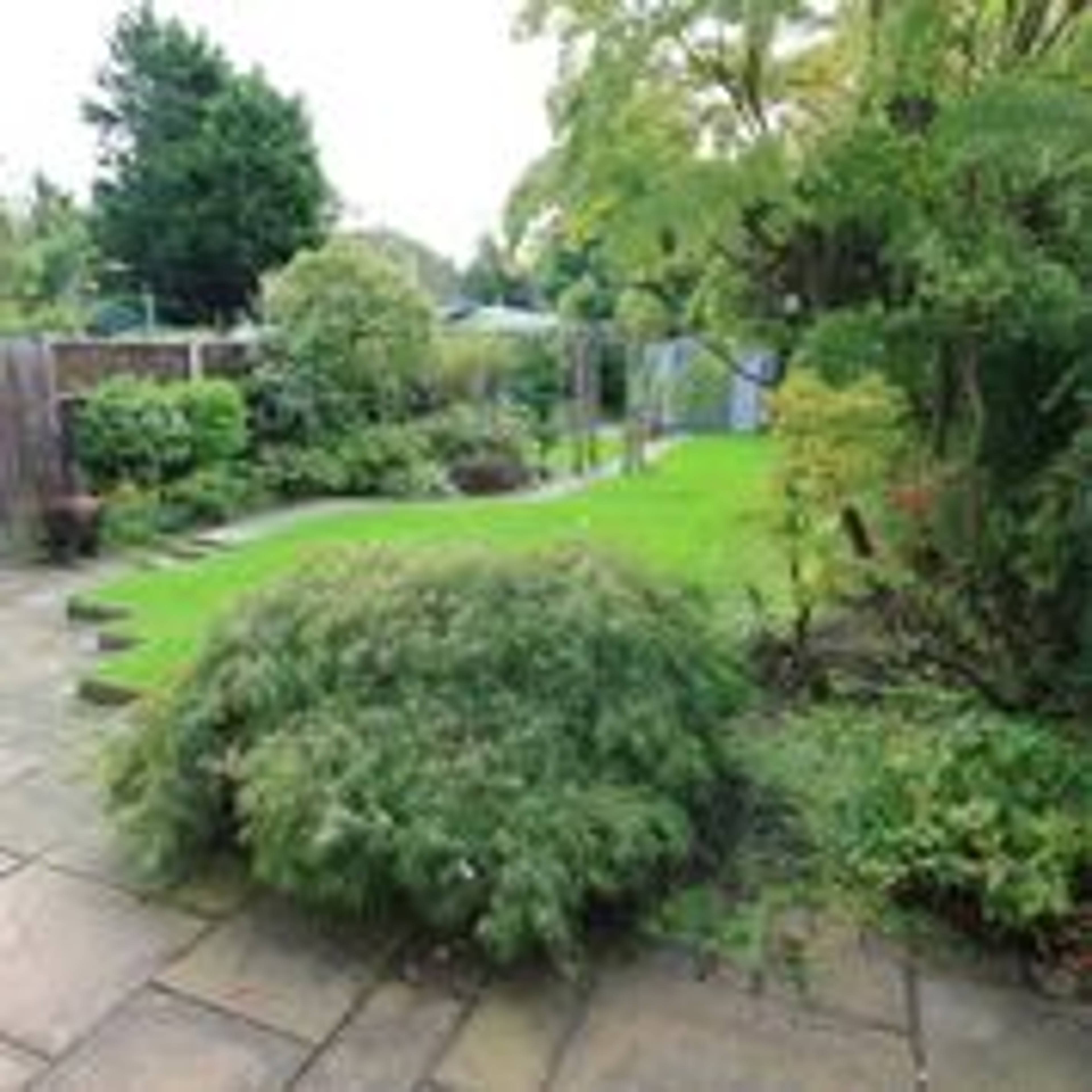 garden