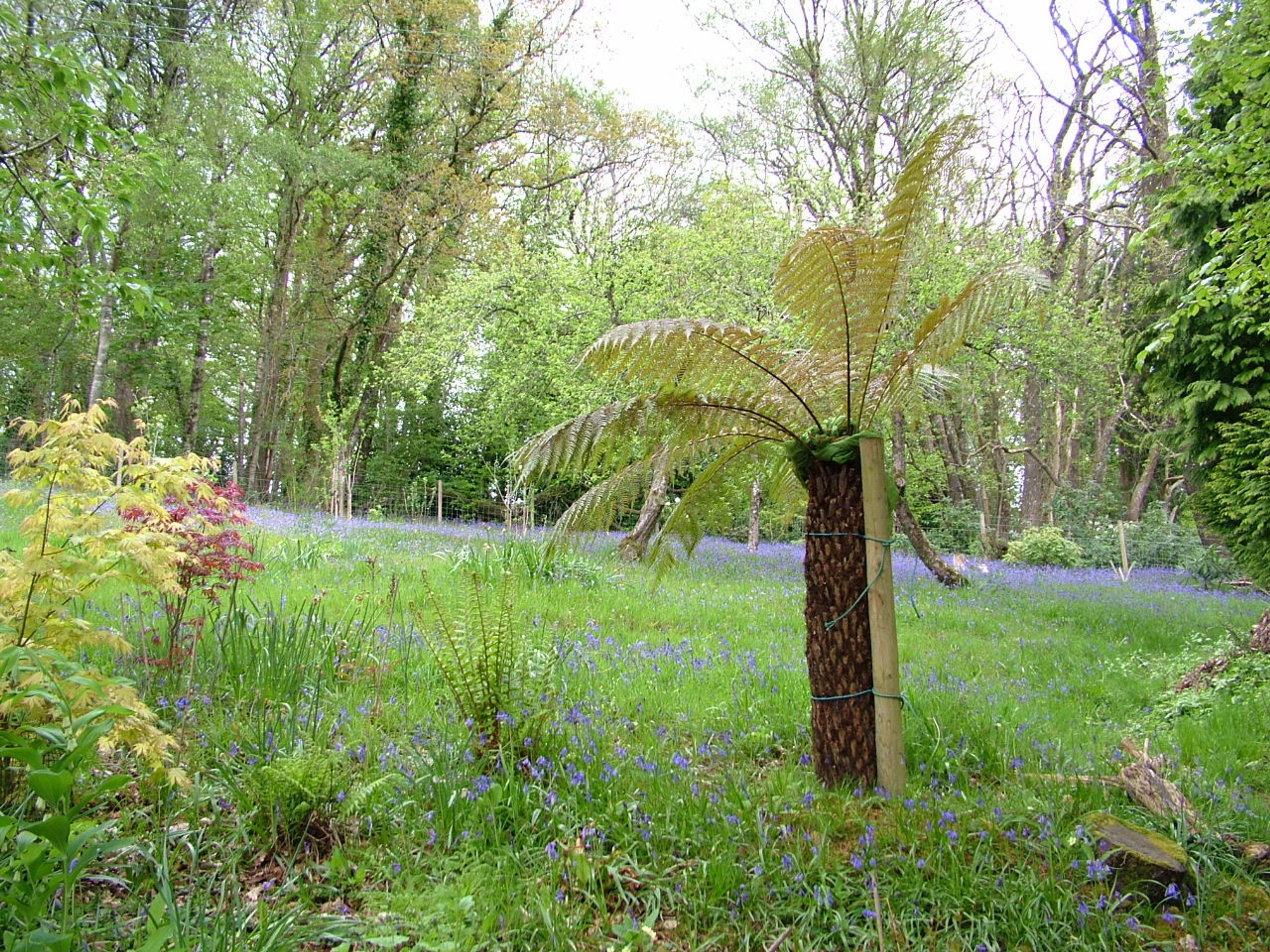 Gardens