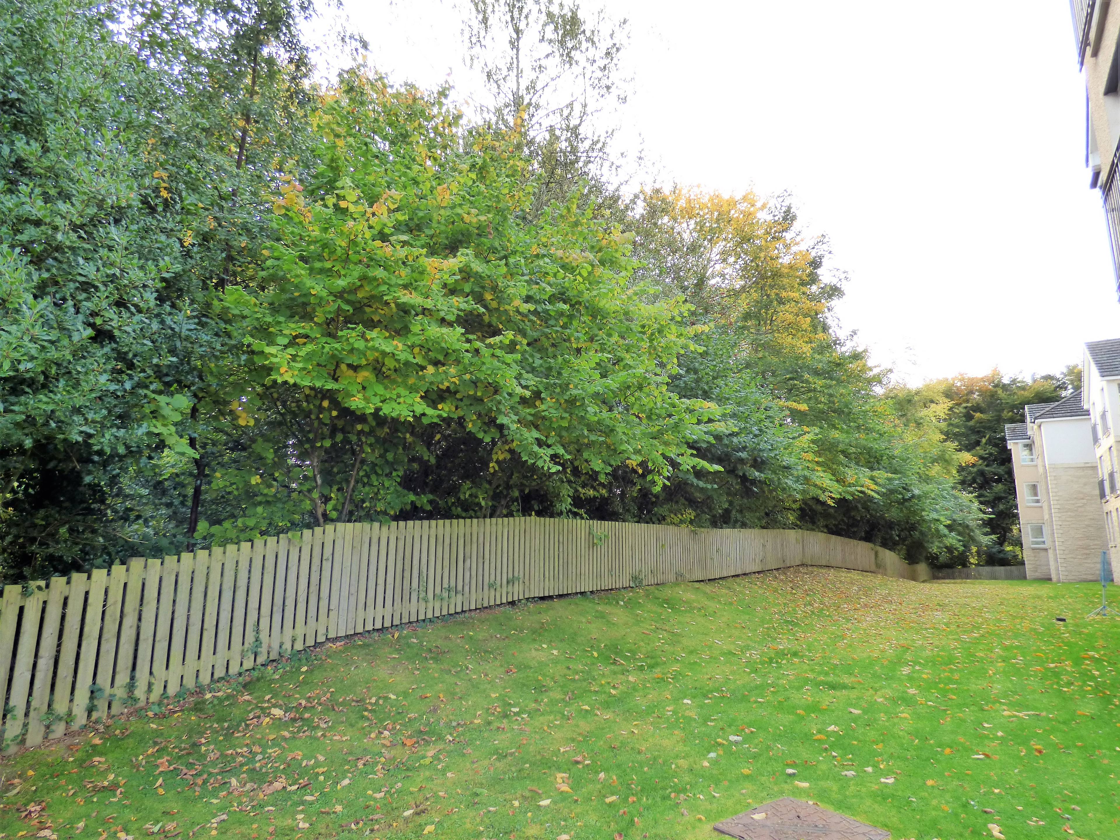 Communal Gardens