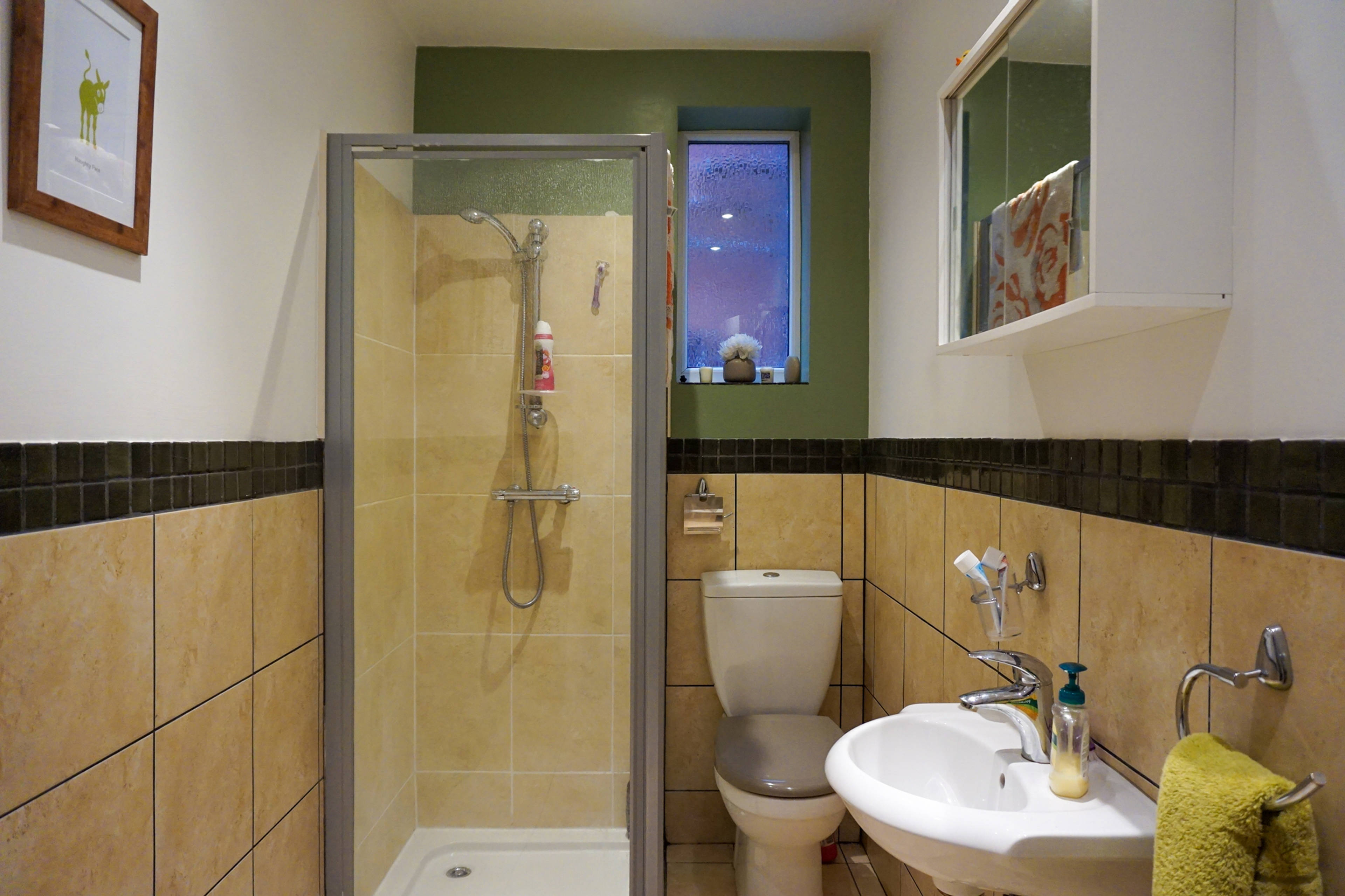 Downstairs Shower
