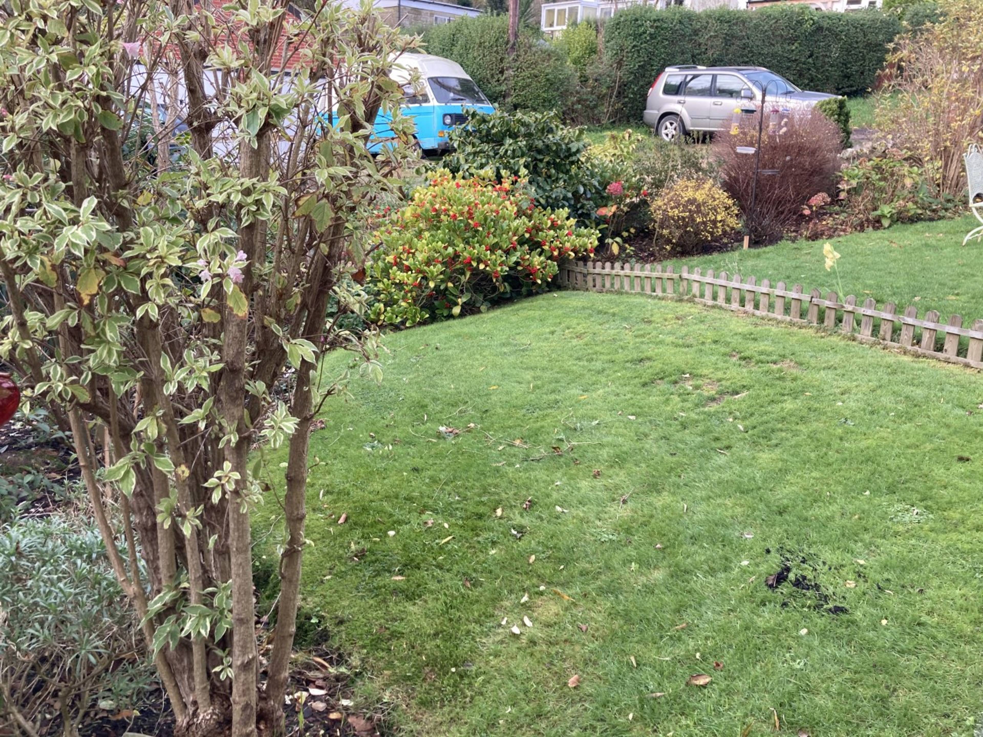 Front Garden