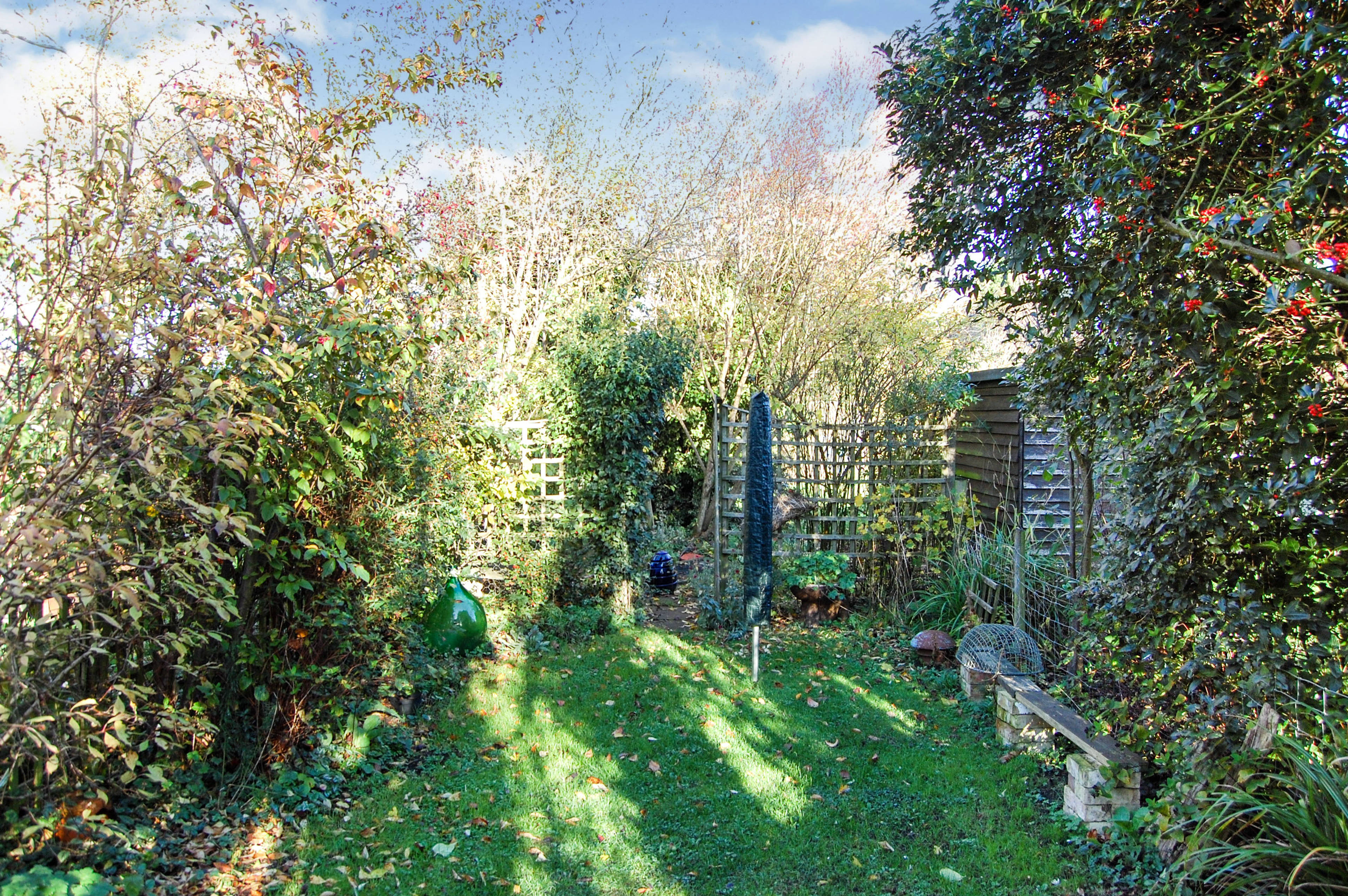 Garden