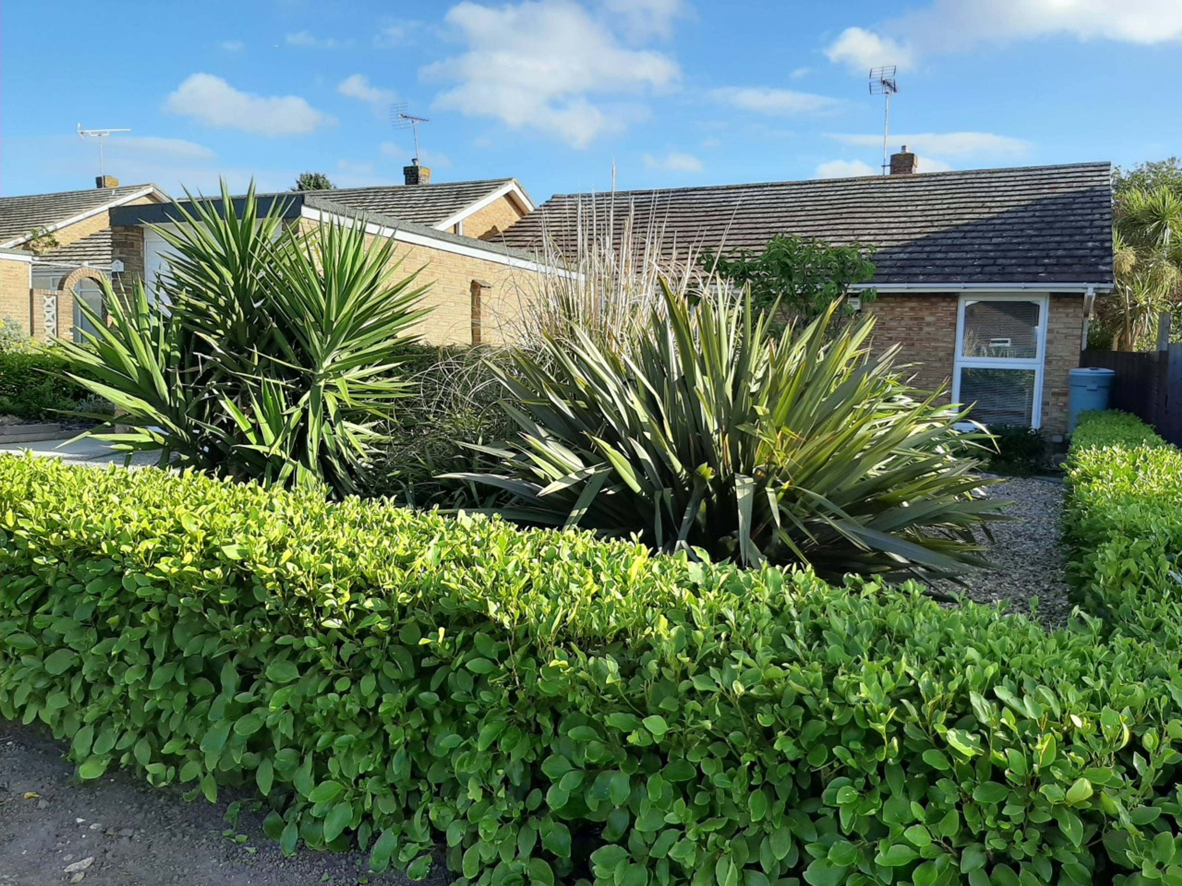 Front Garden