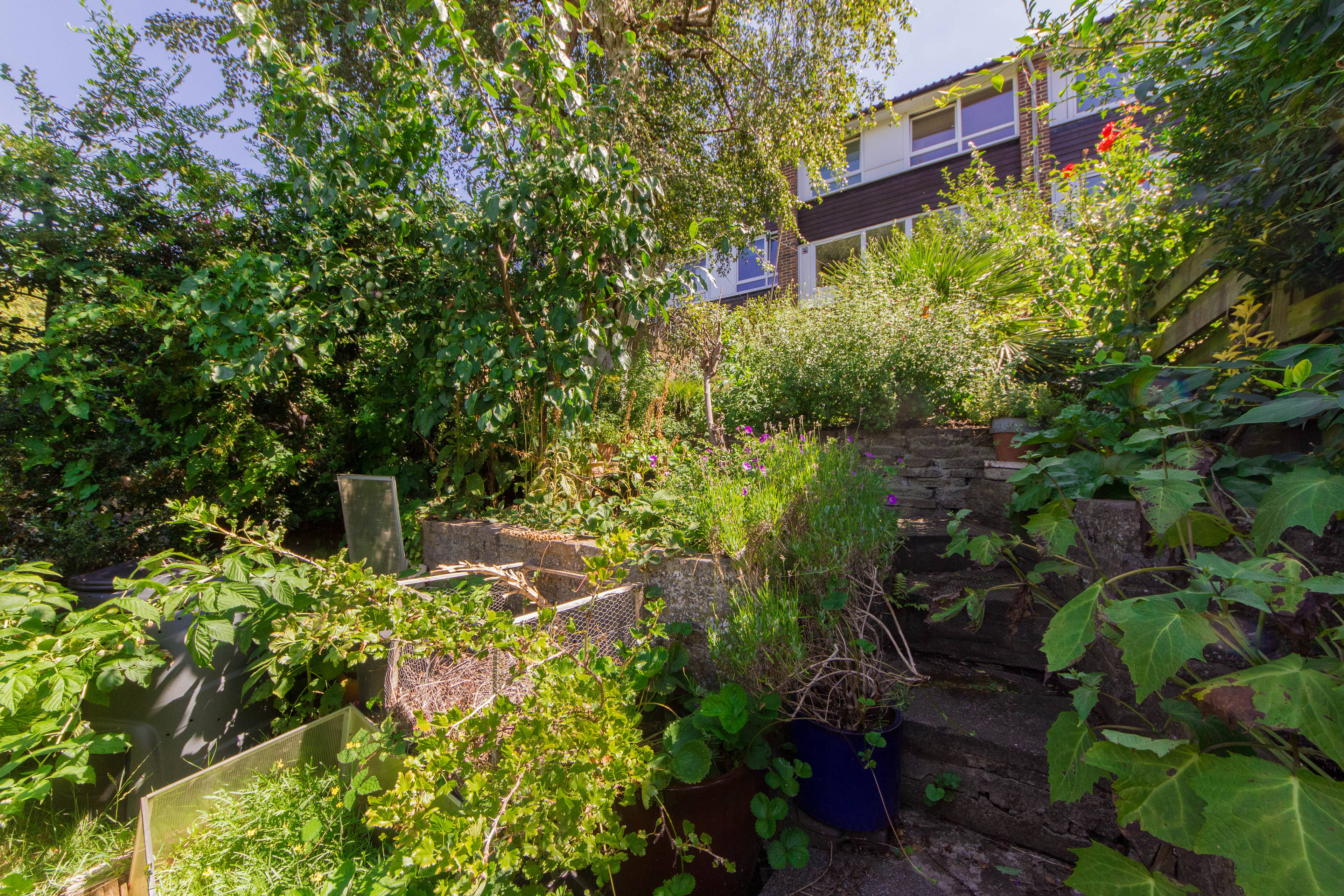 Mature Garden