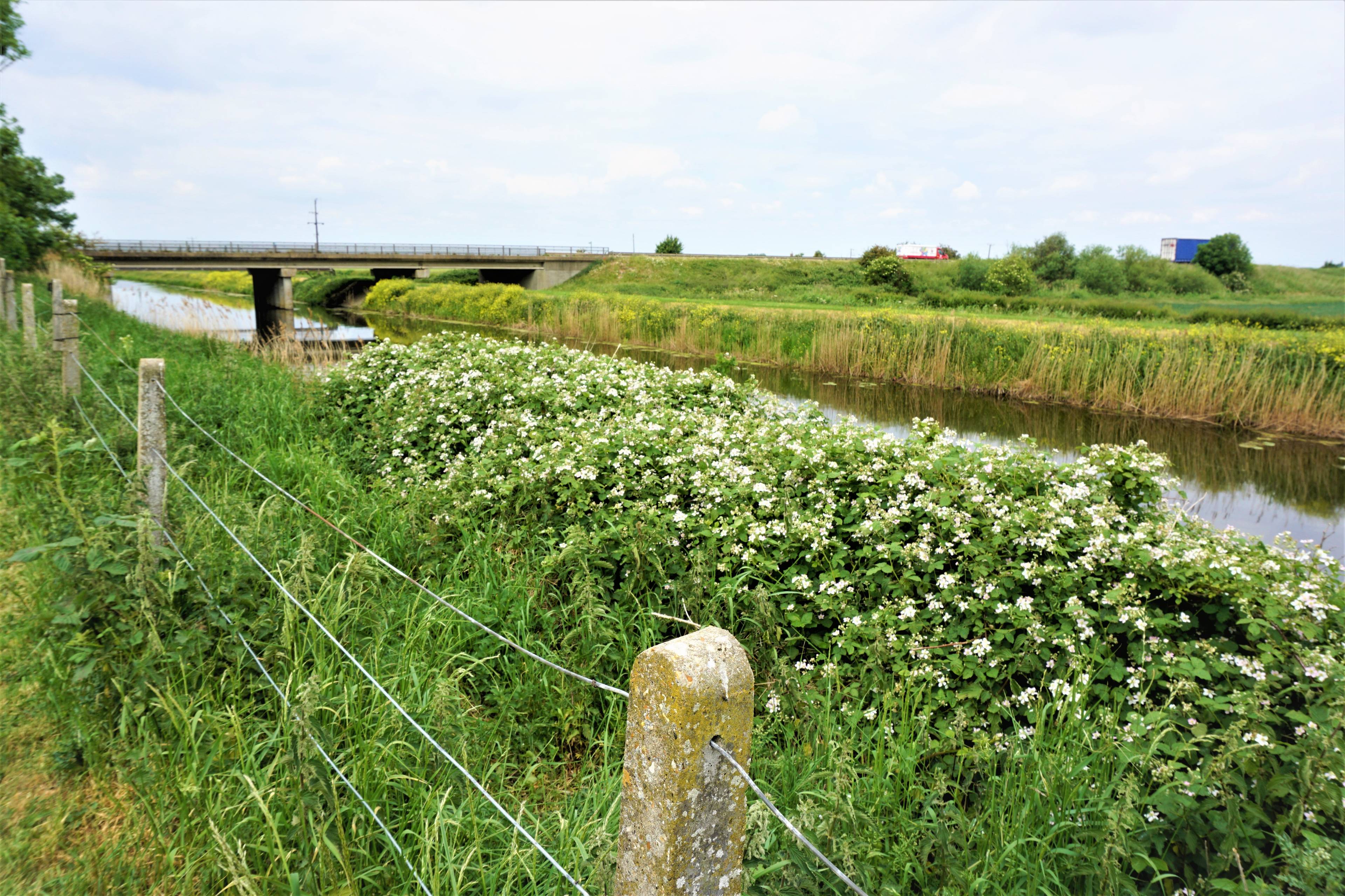 Nearby River