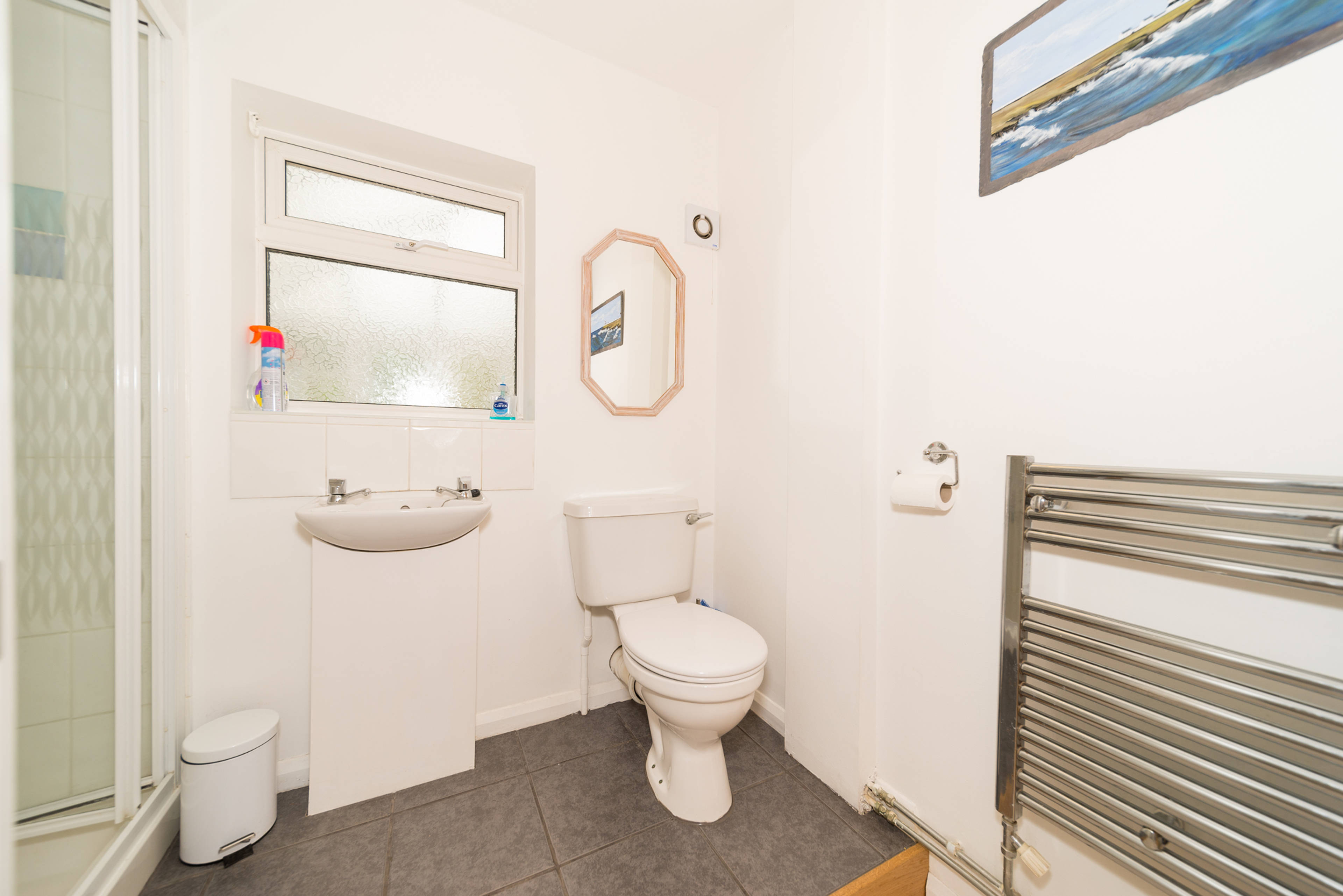 Downstairs Shower