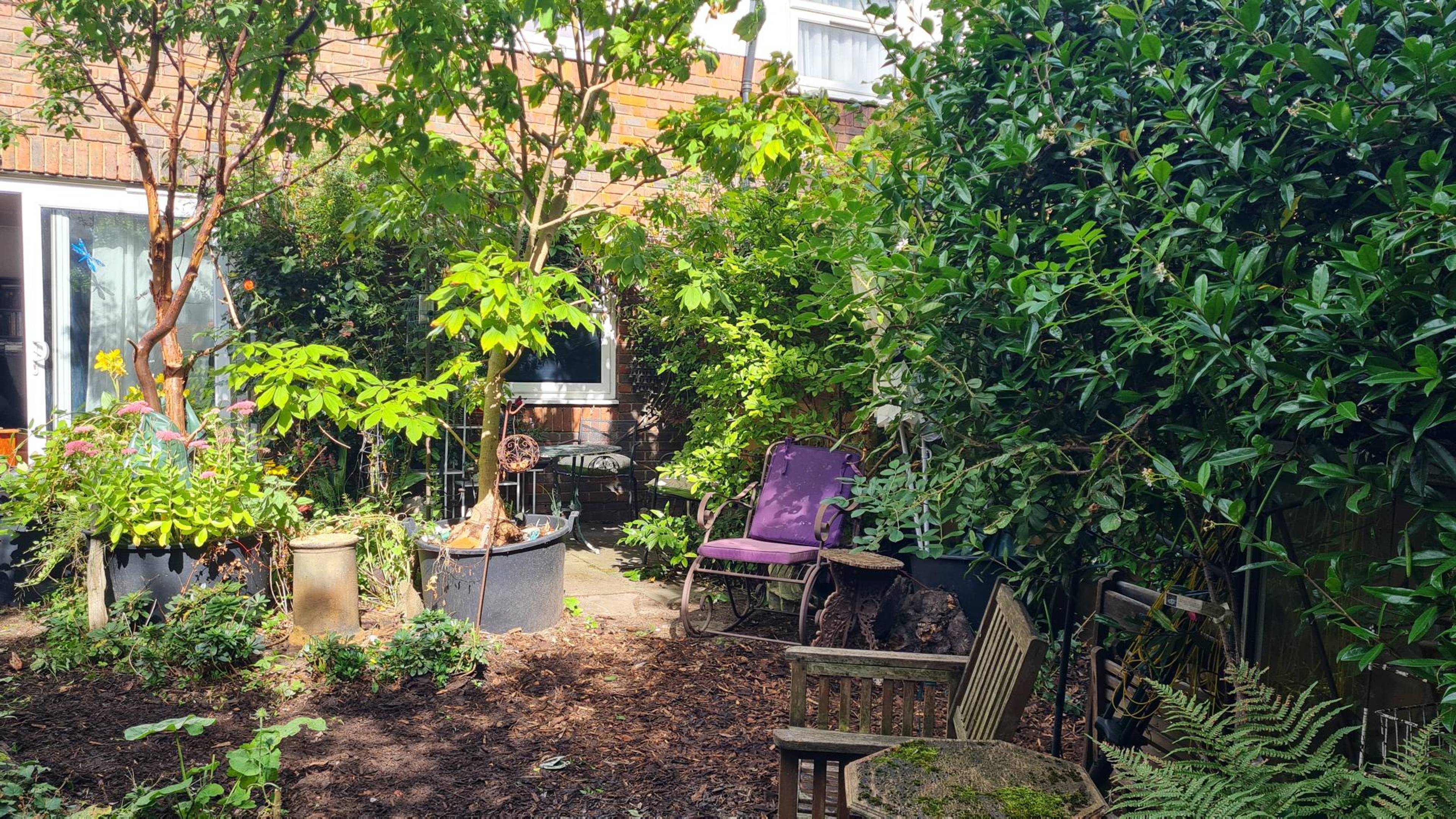 Large Garden