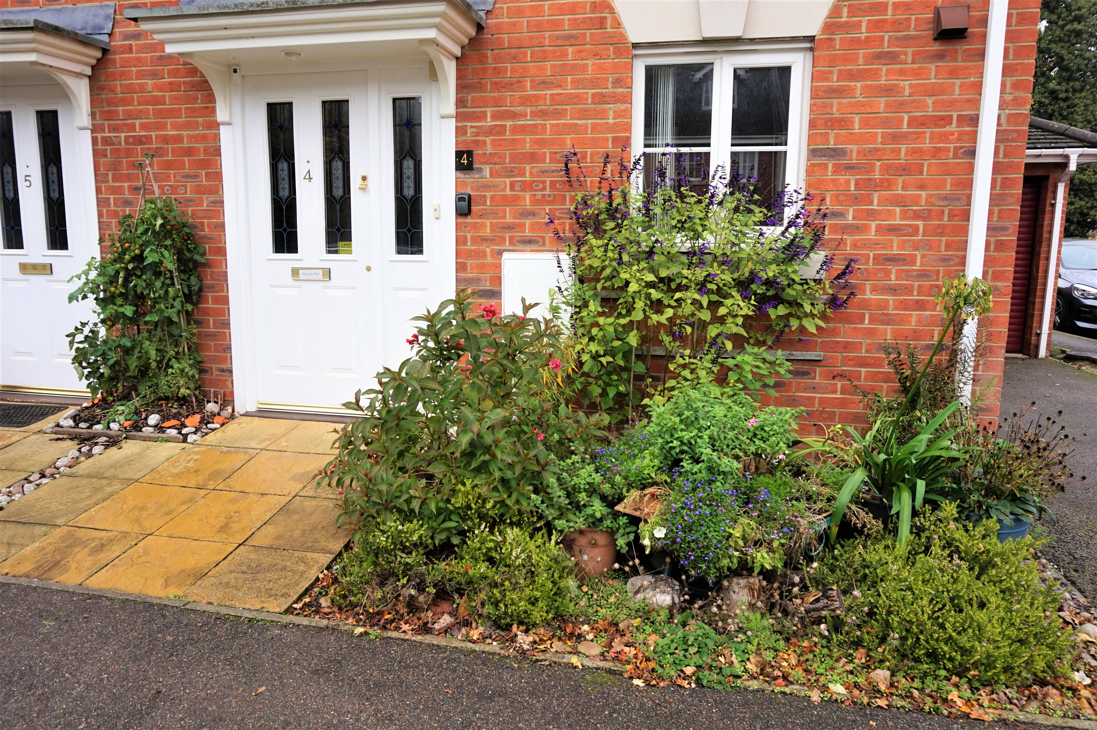 Front Garden