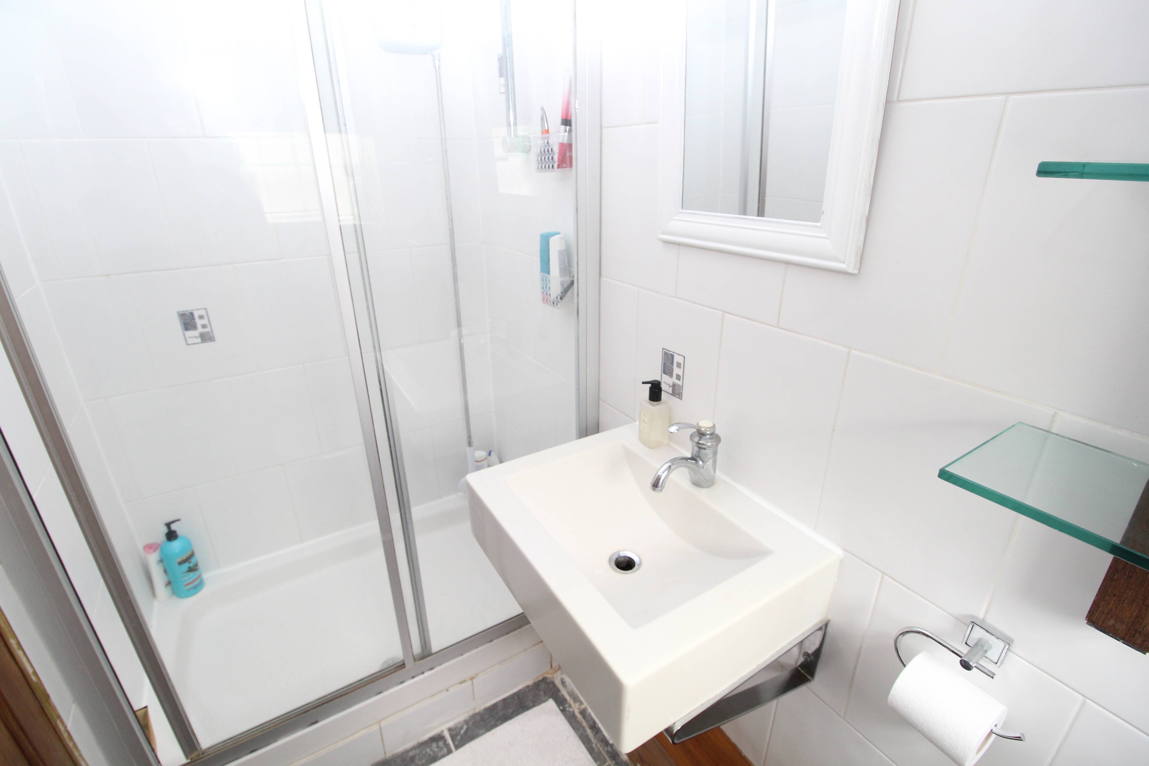 Downstairs Shower