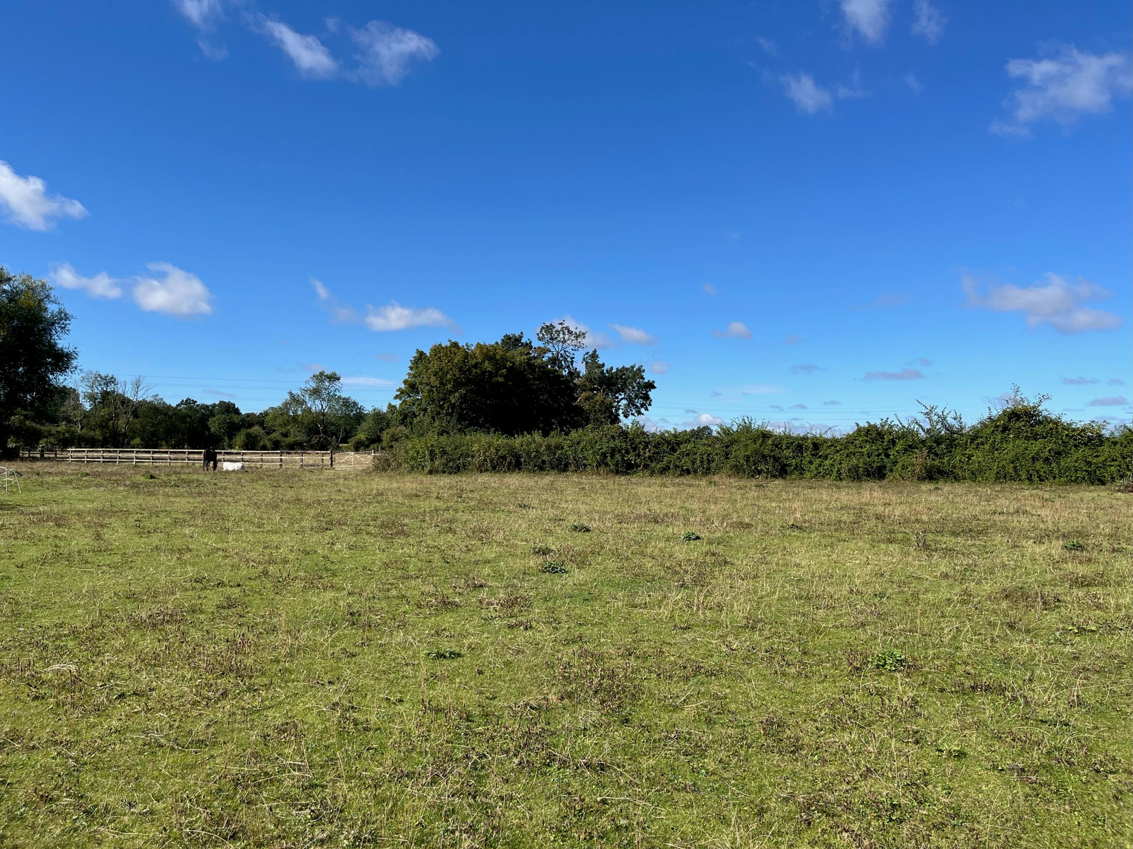 Field