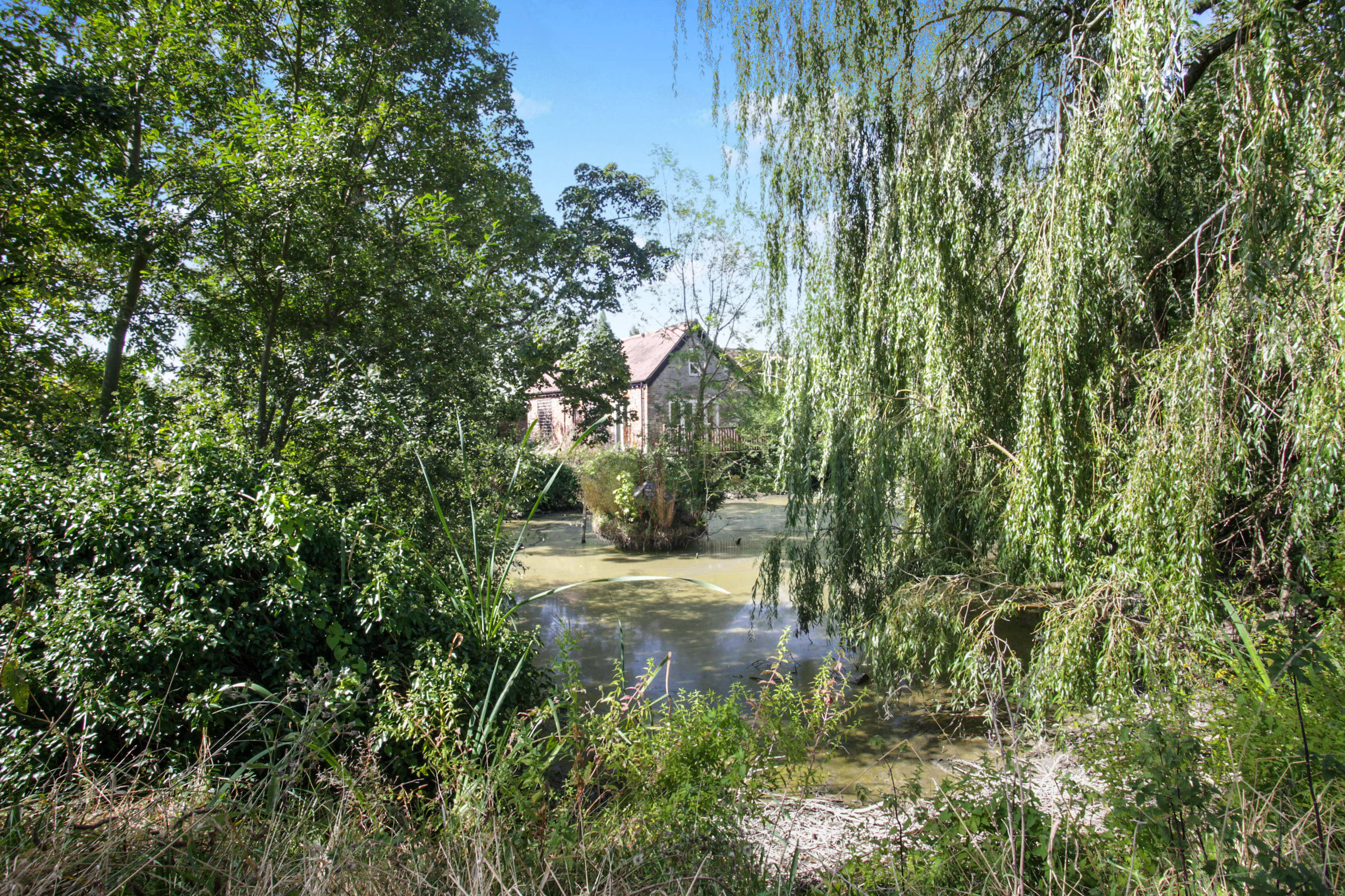 View Of The Property