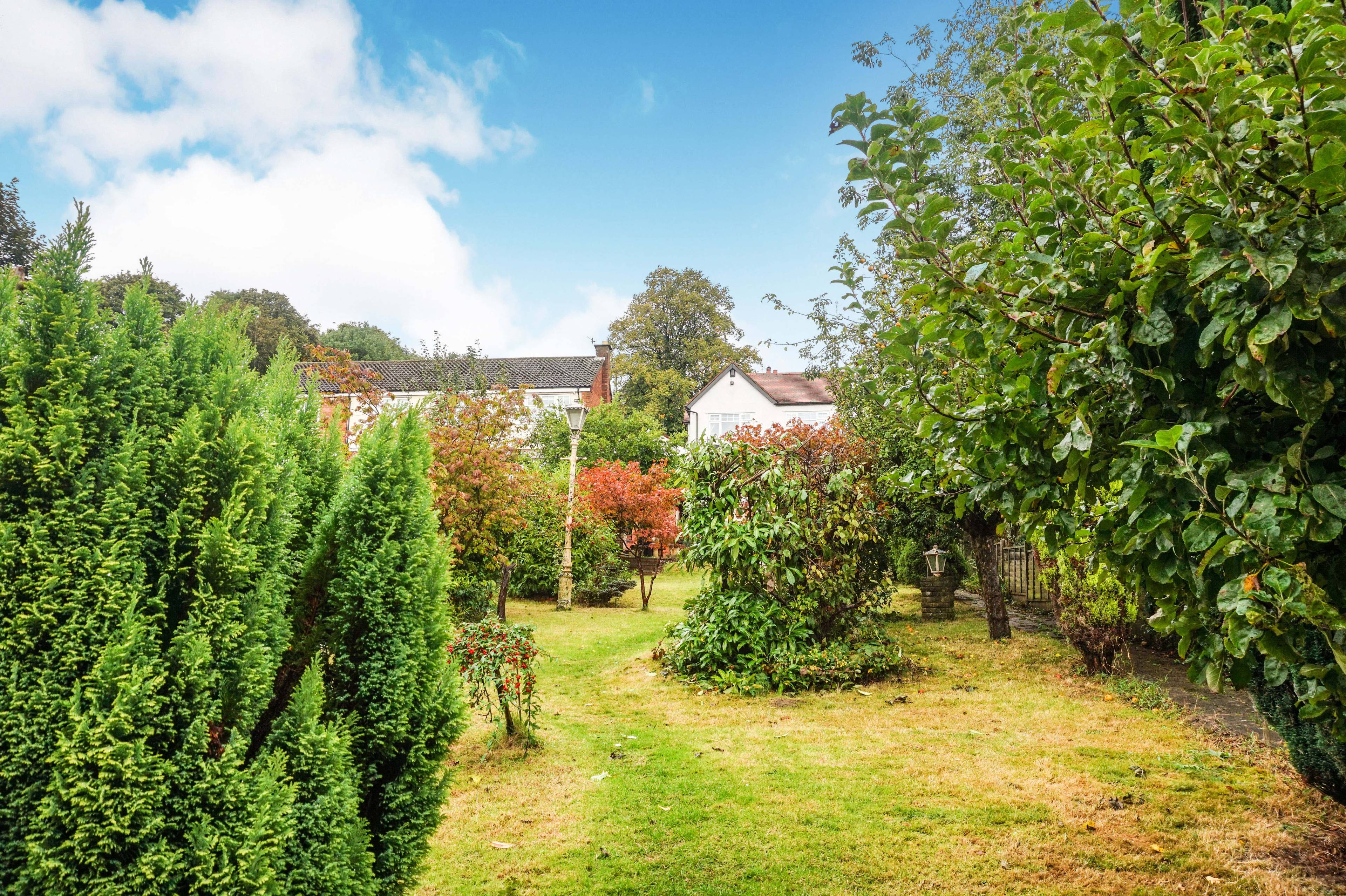 Large Garden