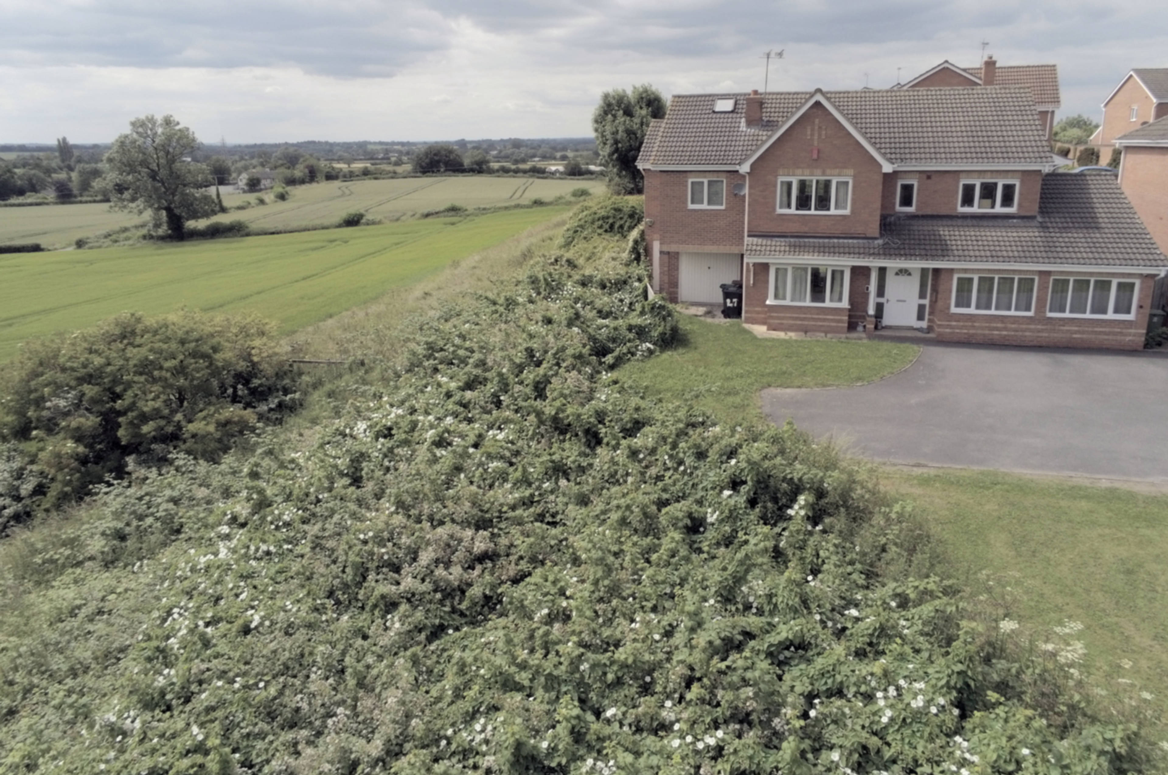 View Of The Property