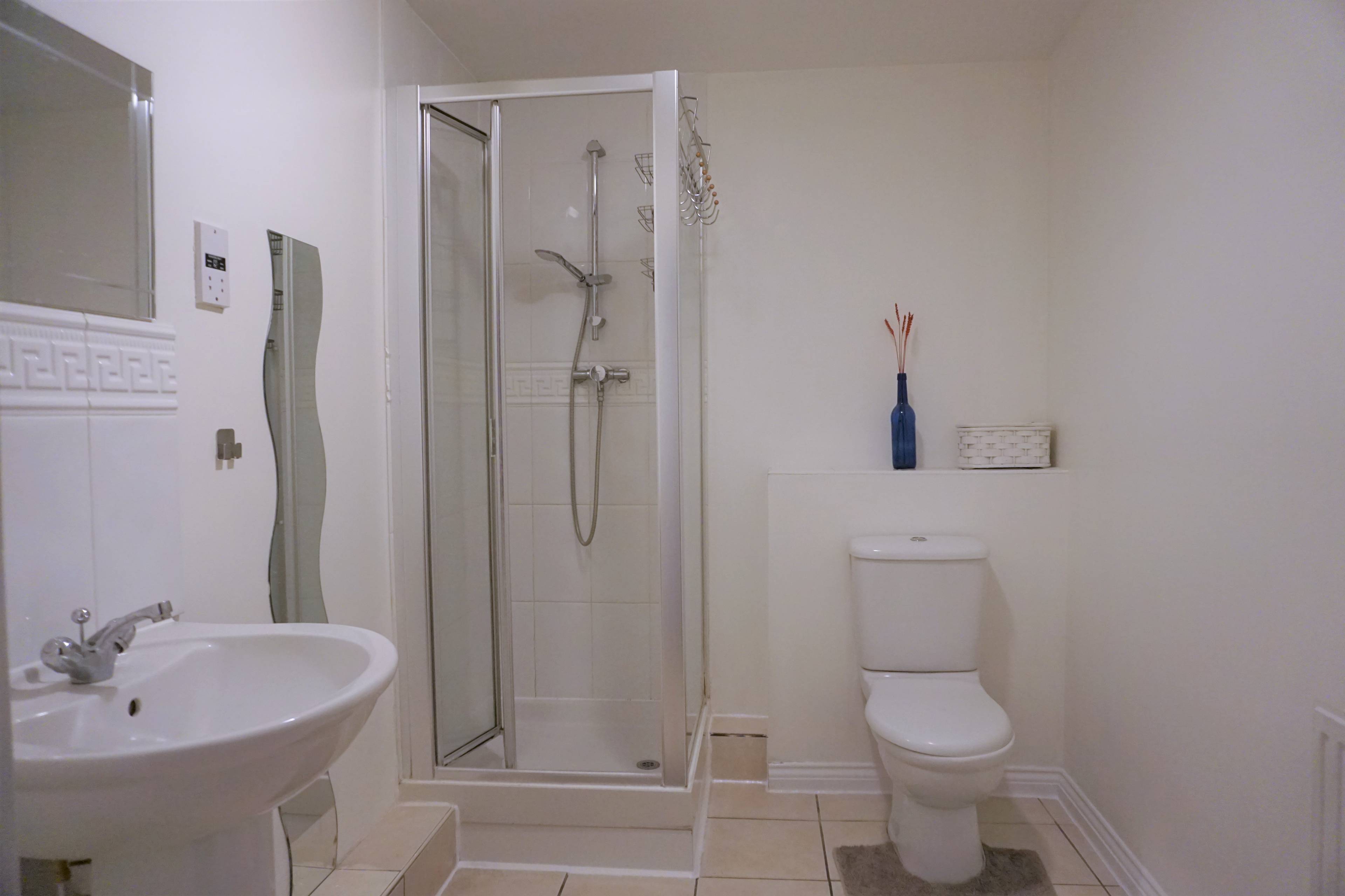 Downstairs Shower