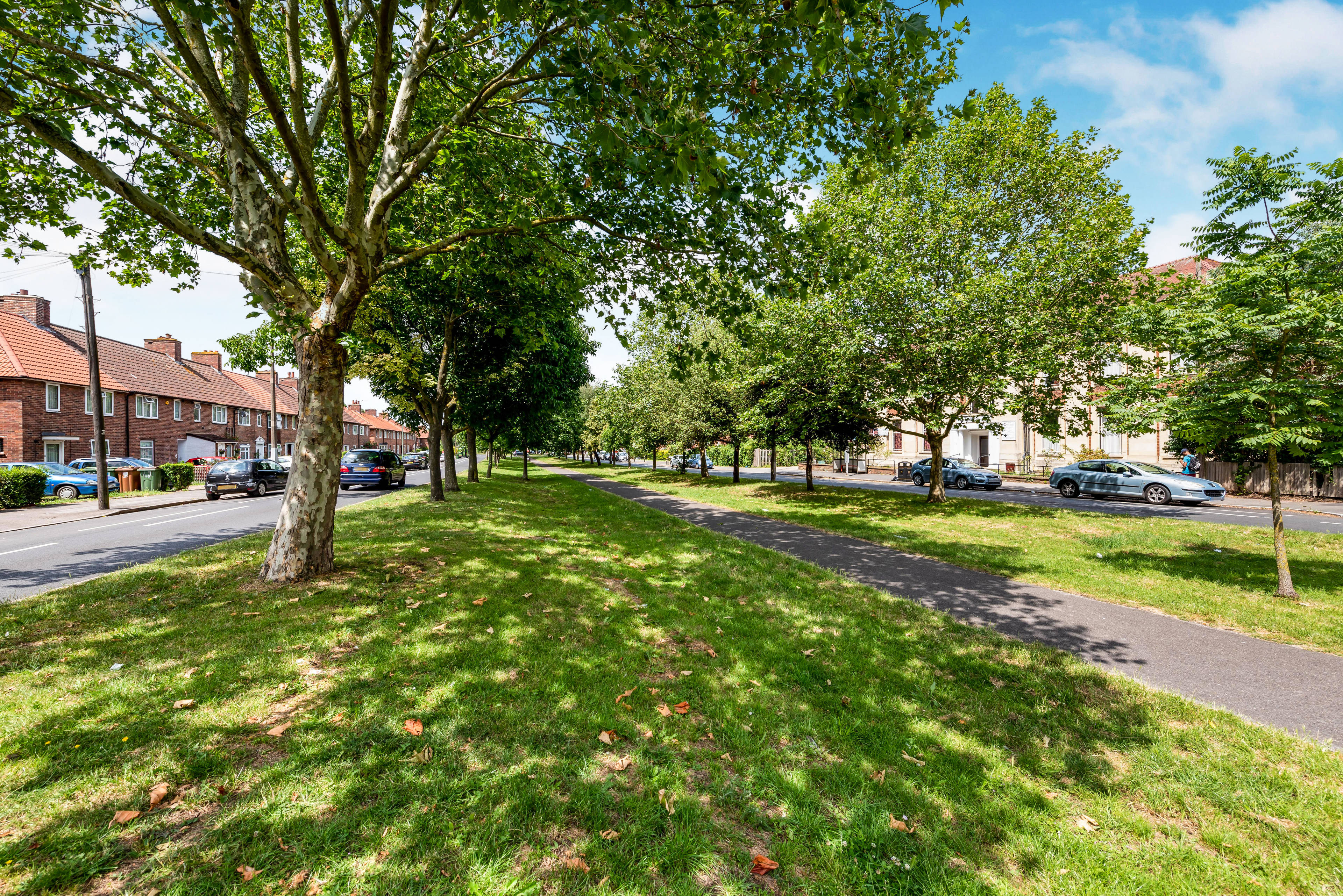 Surrounding Area
