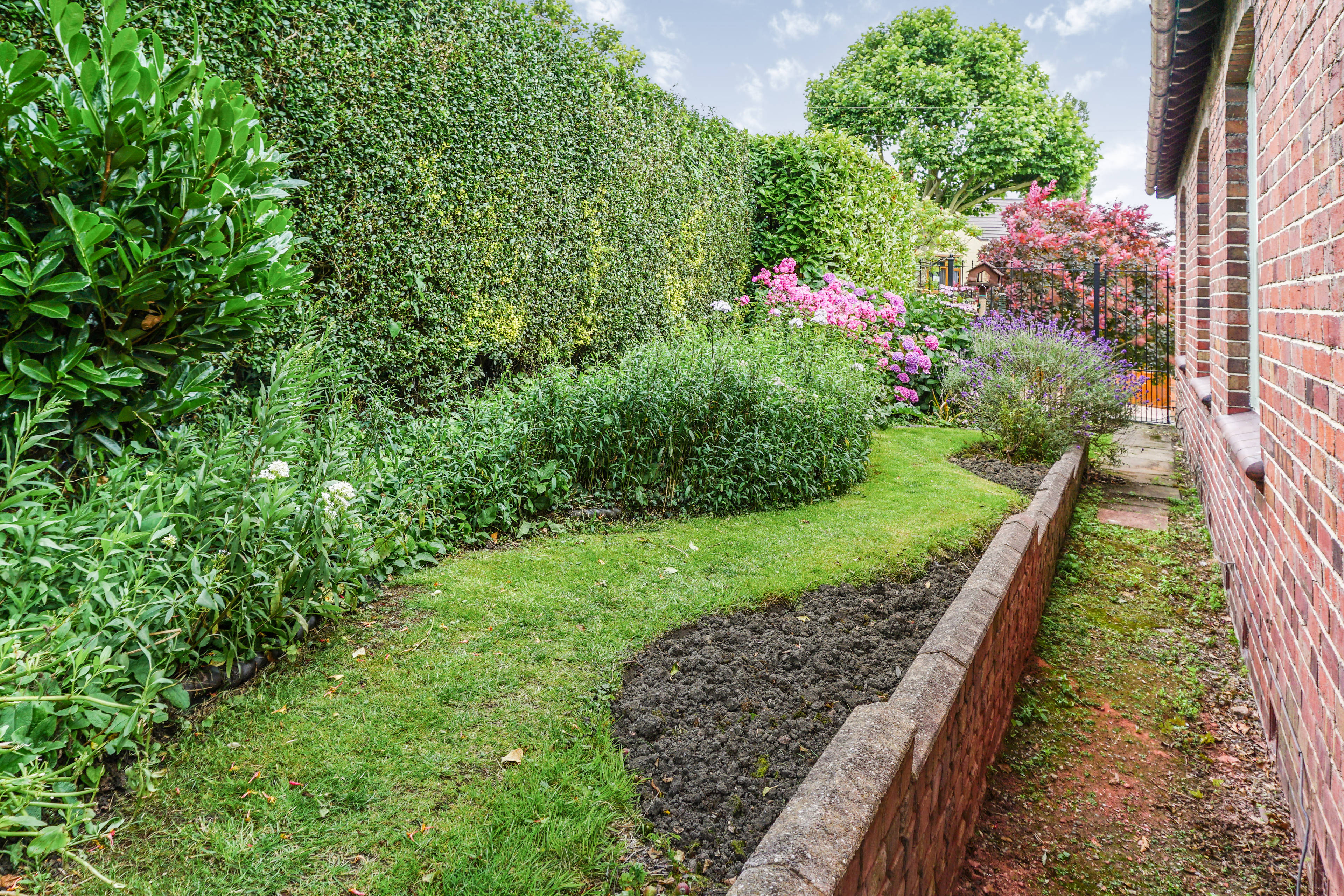 Side Garden