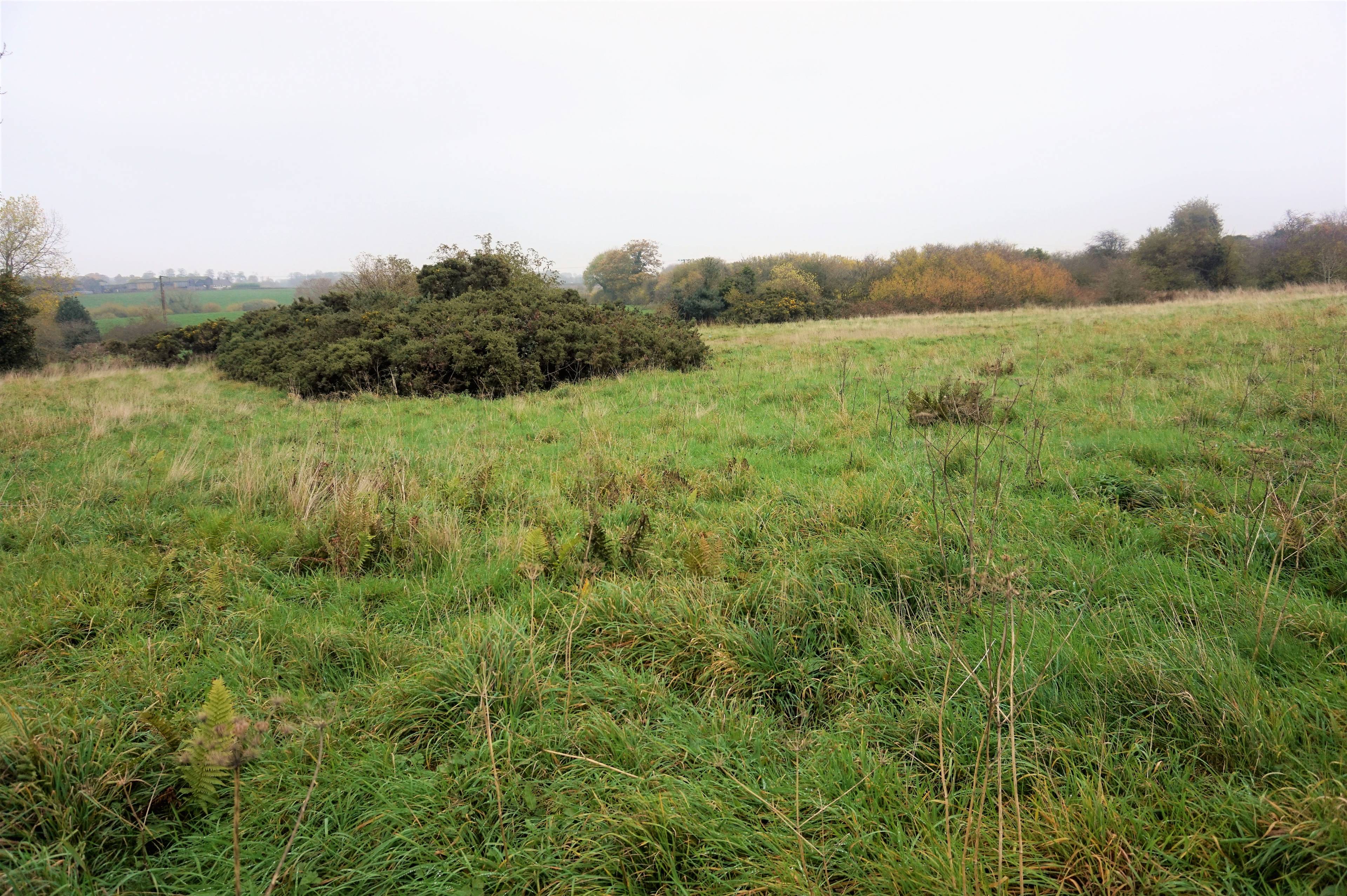 Land
