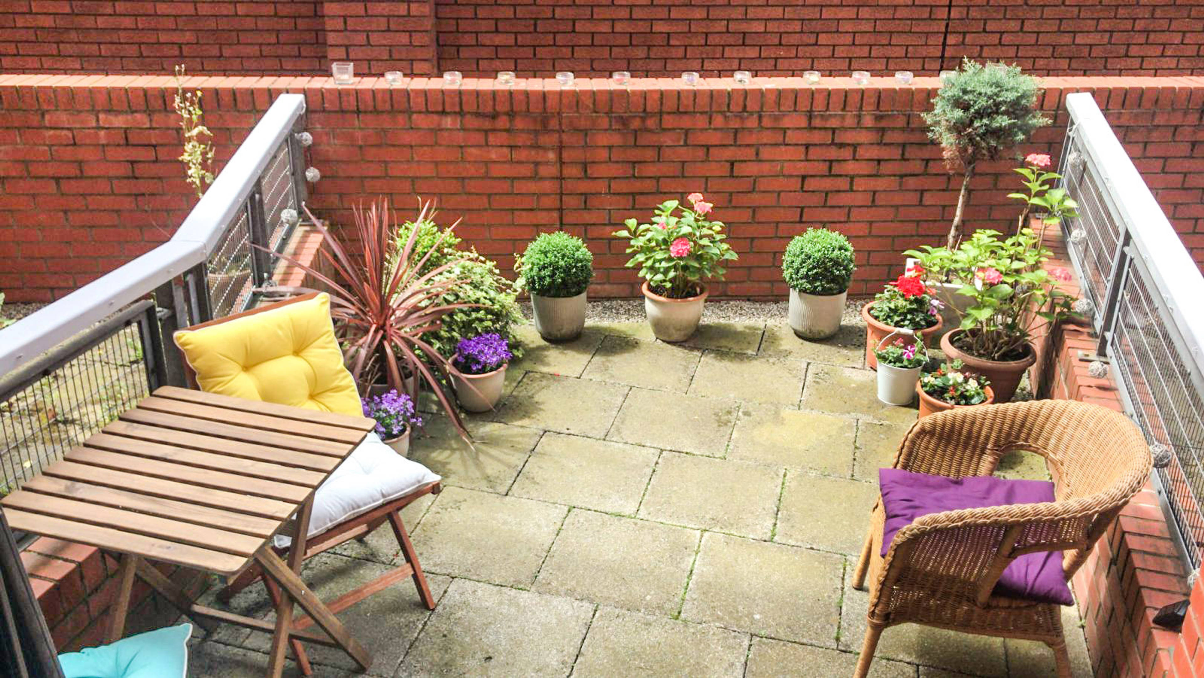 Sun Terrace