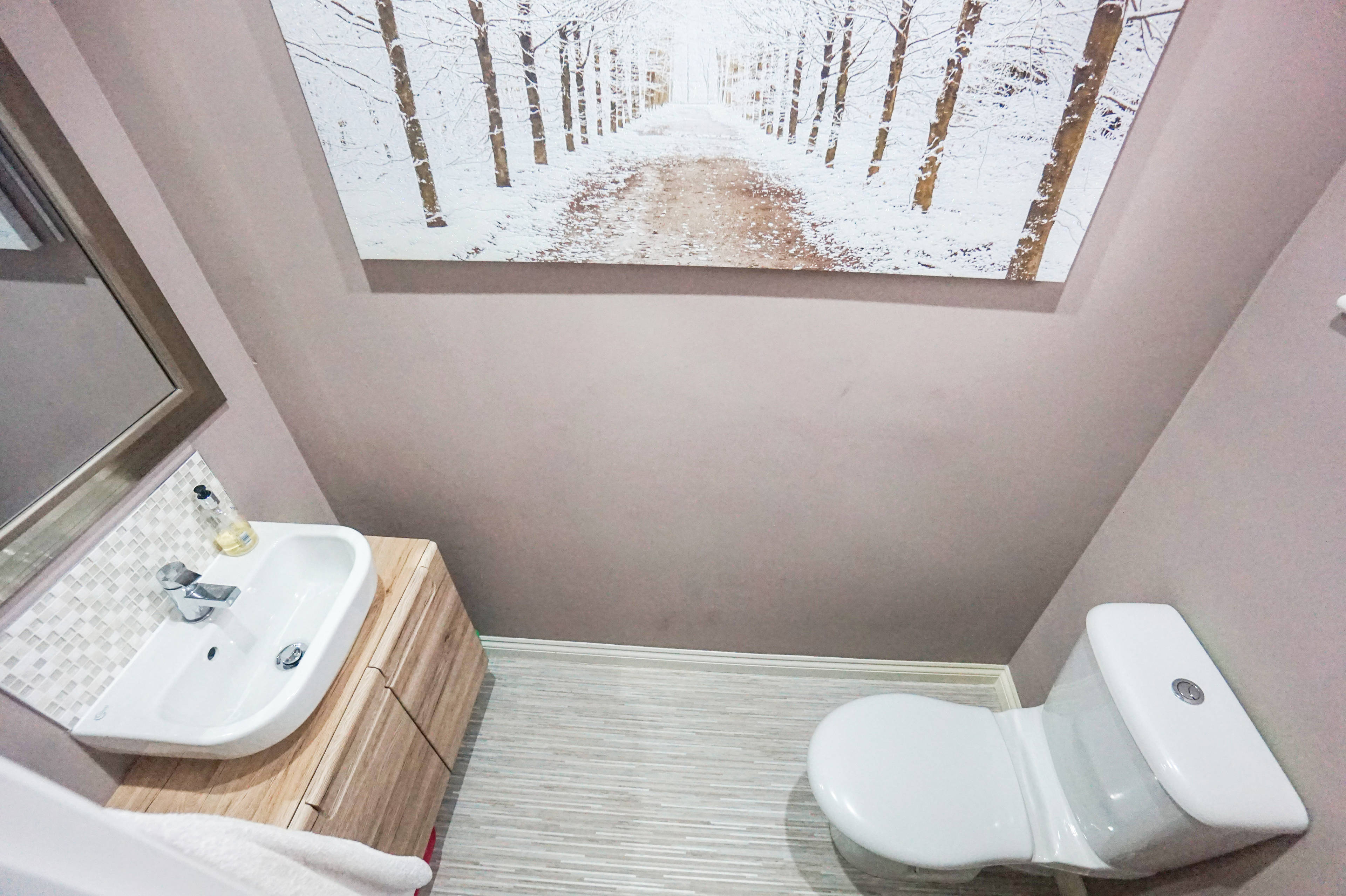 Downstairs Cloakroom