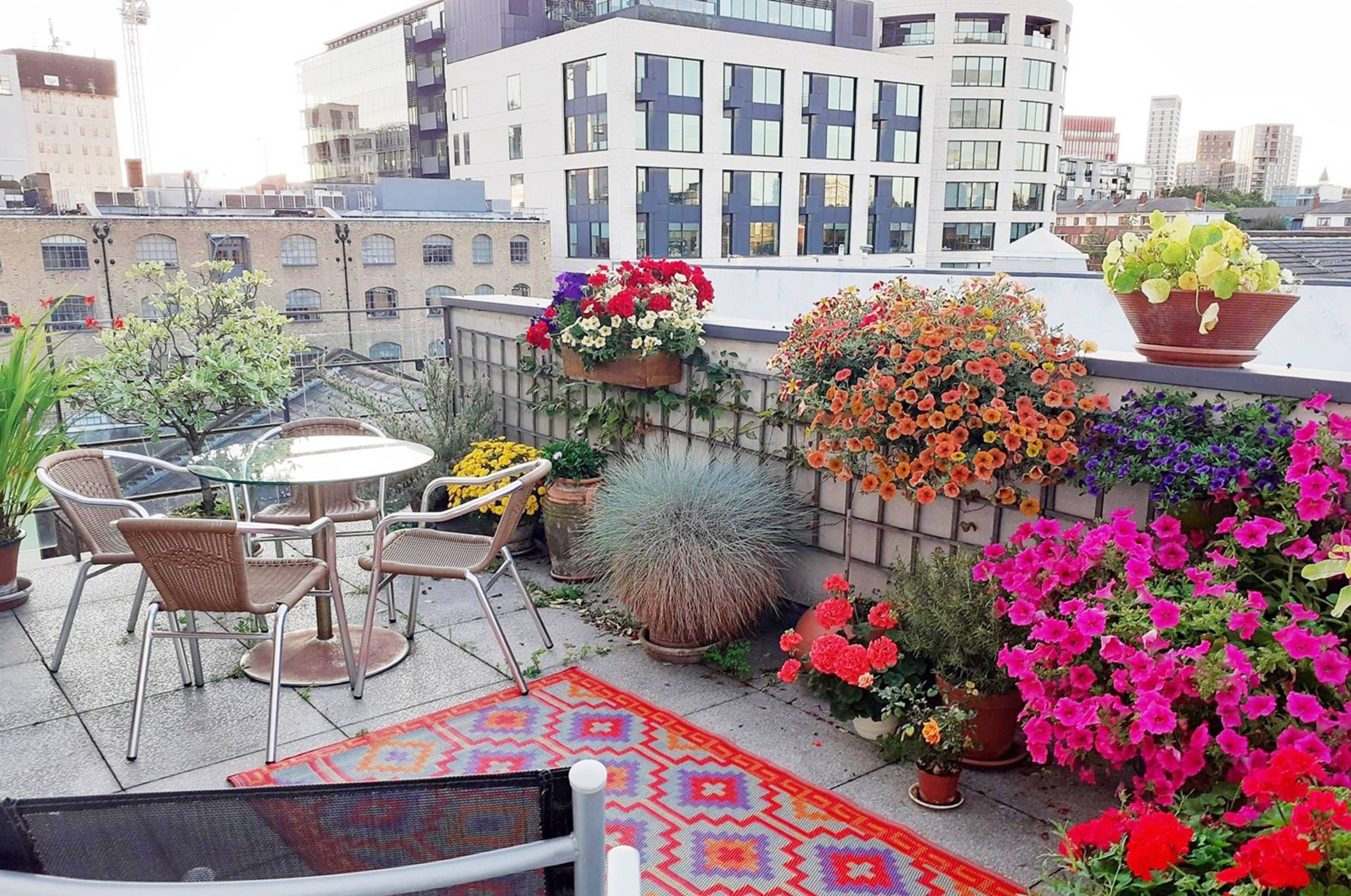 Roof Terrace