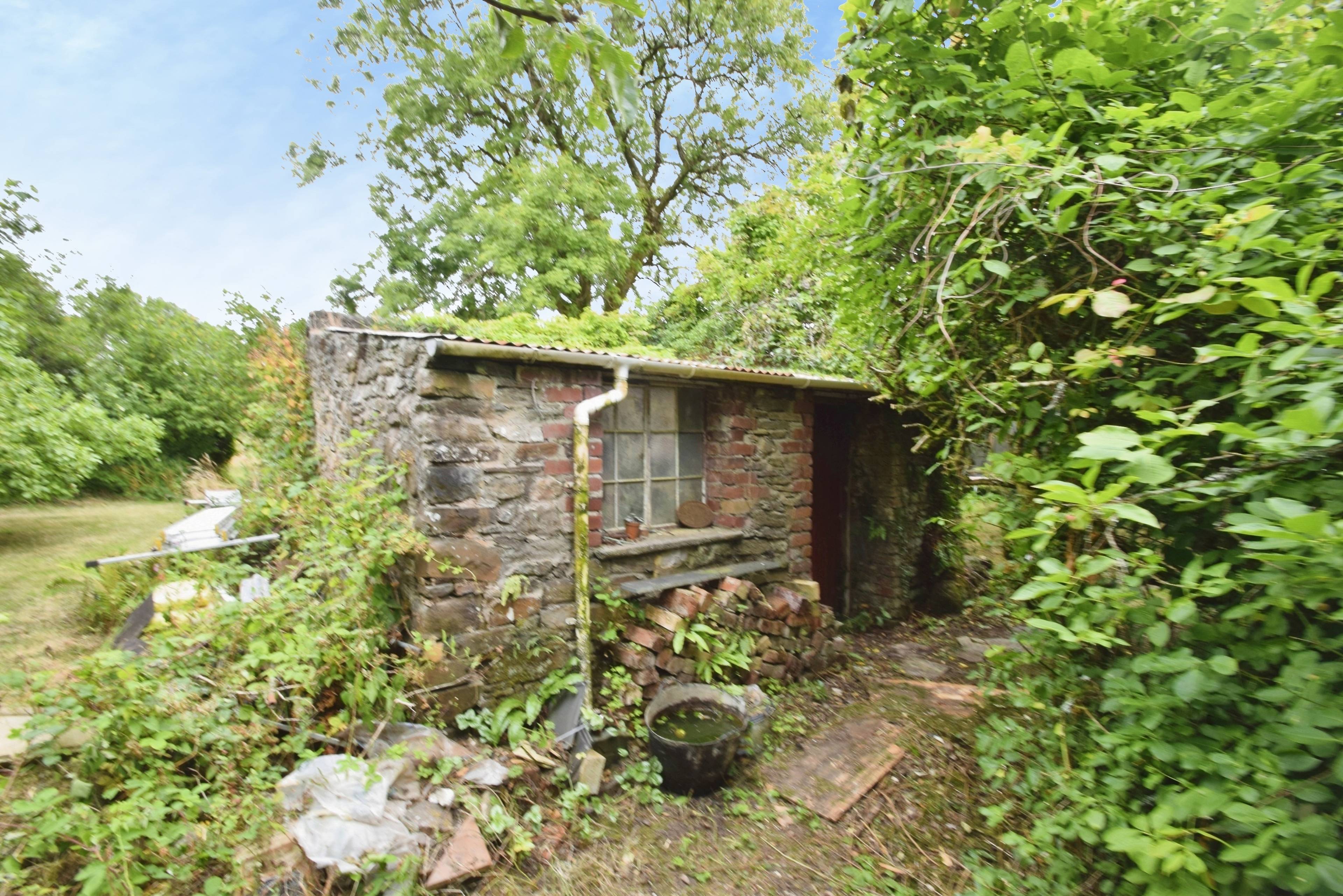 Shed