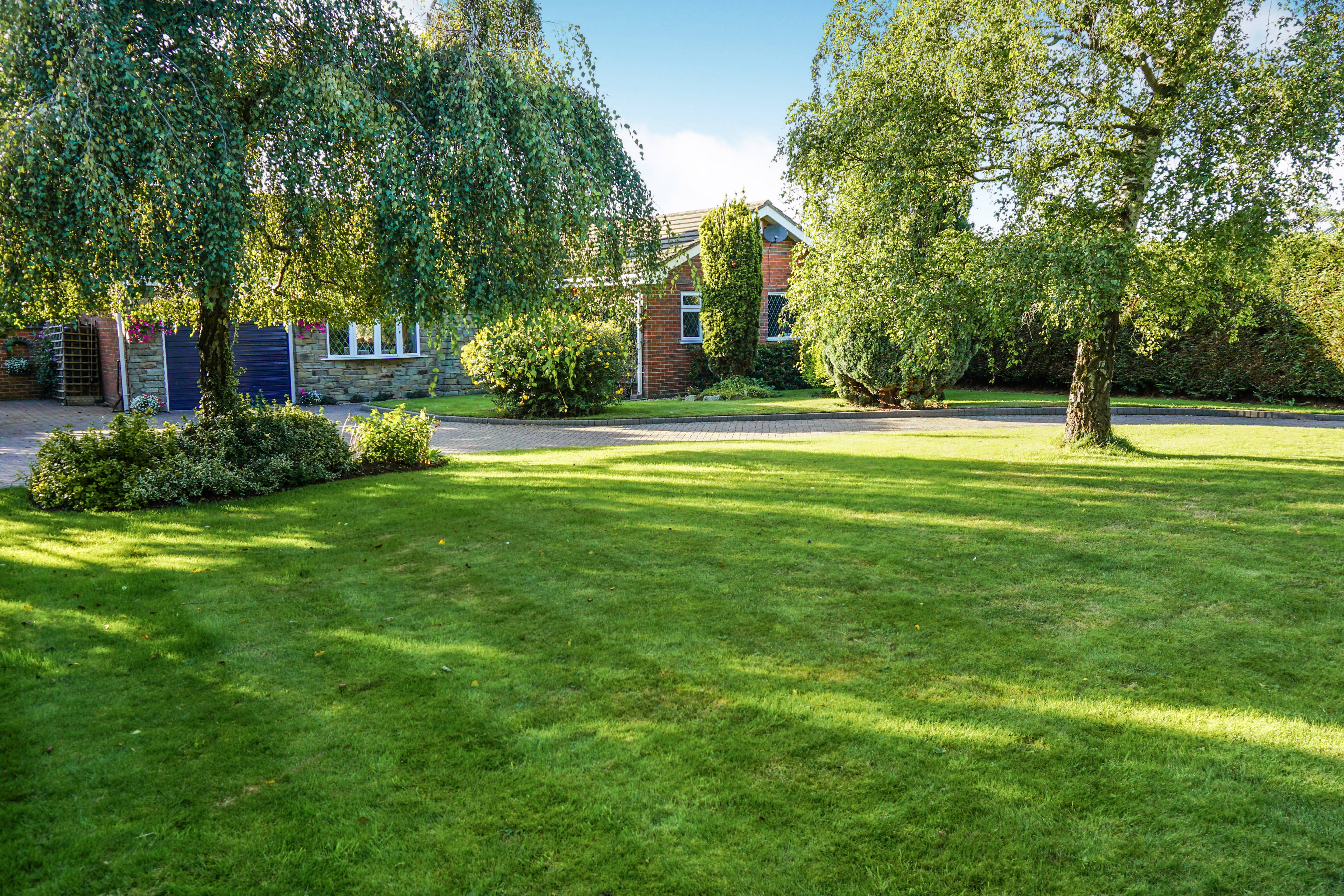 Front Garden