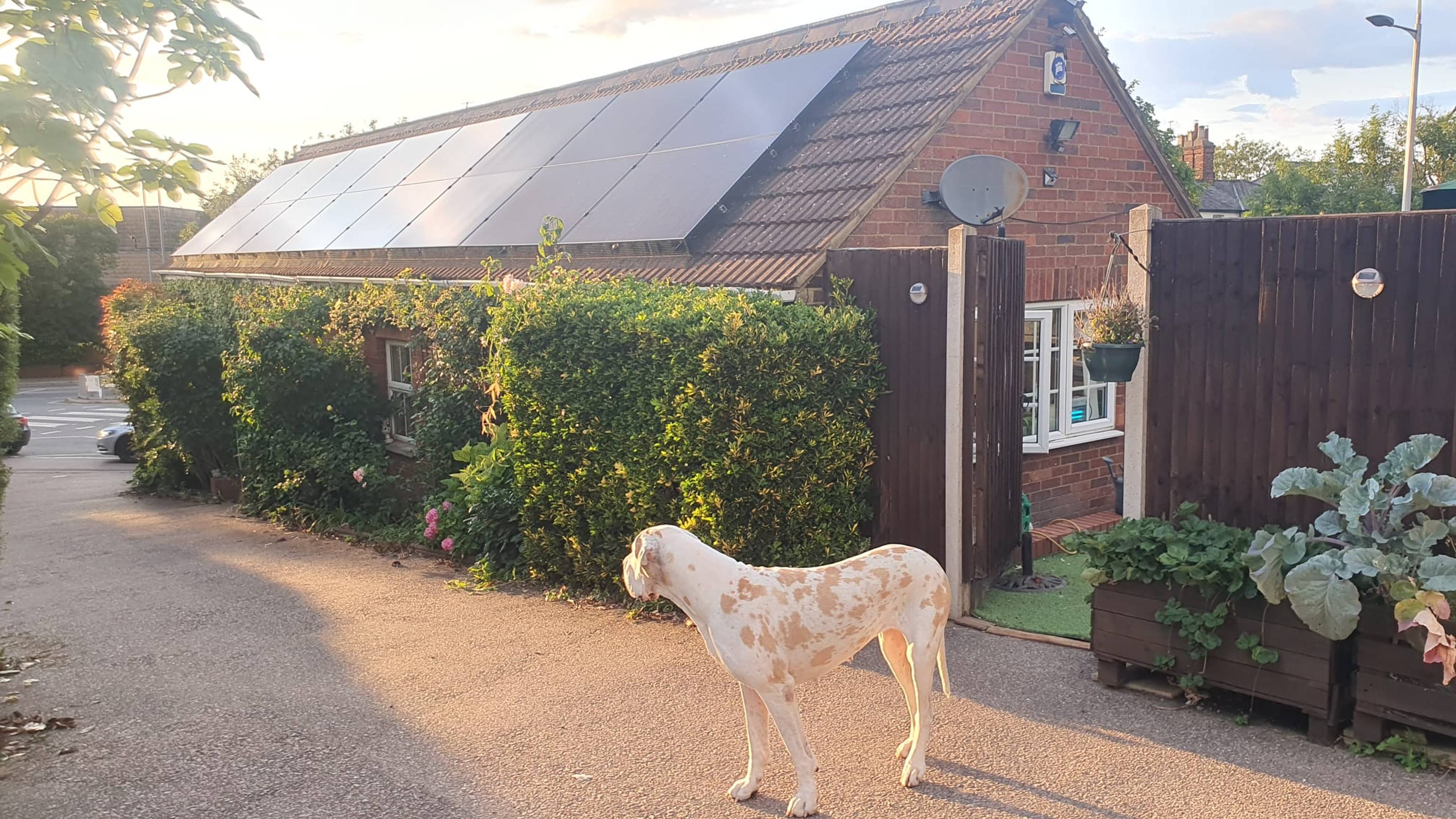 Solar Panels