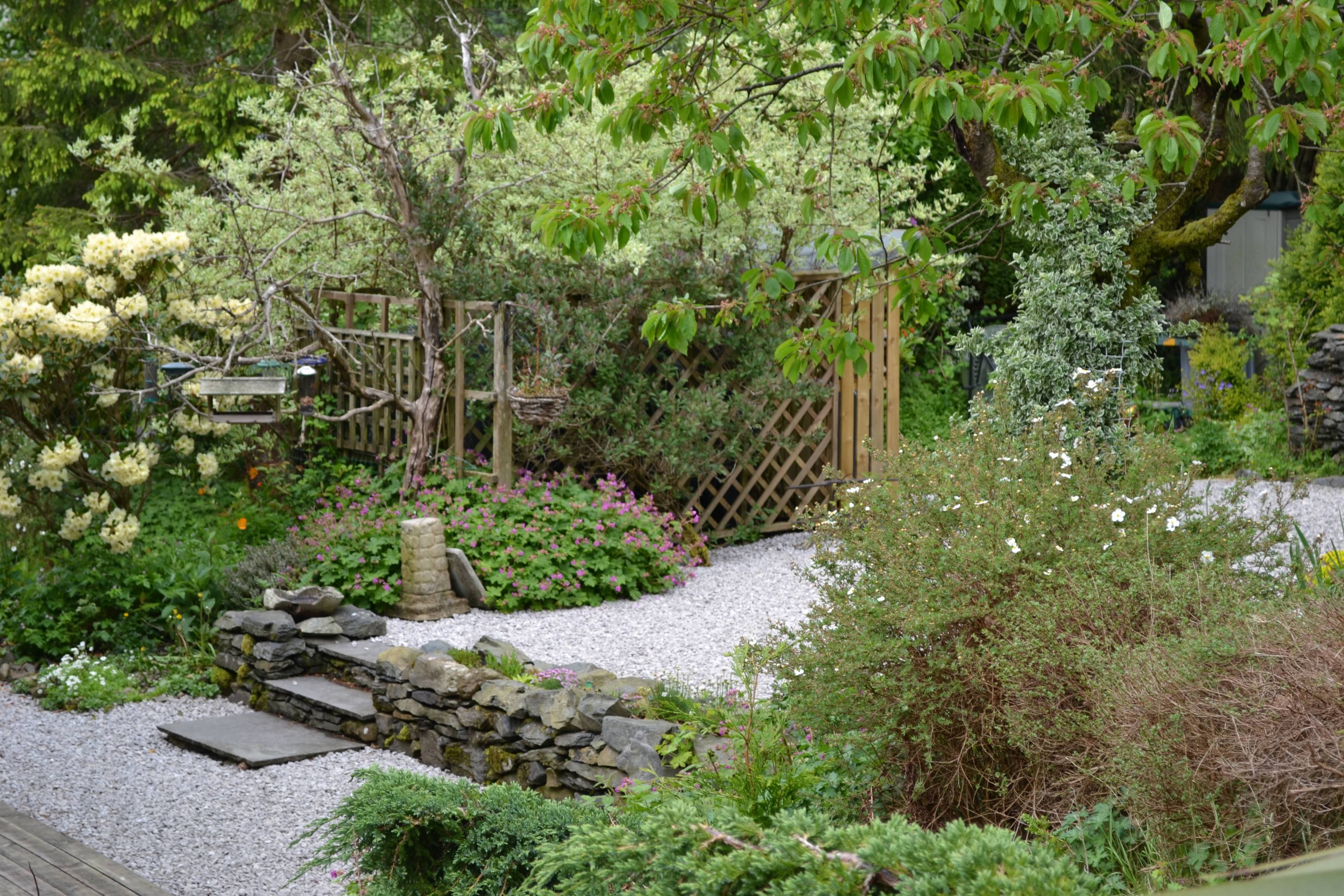 Side Garden