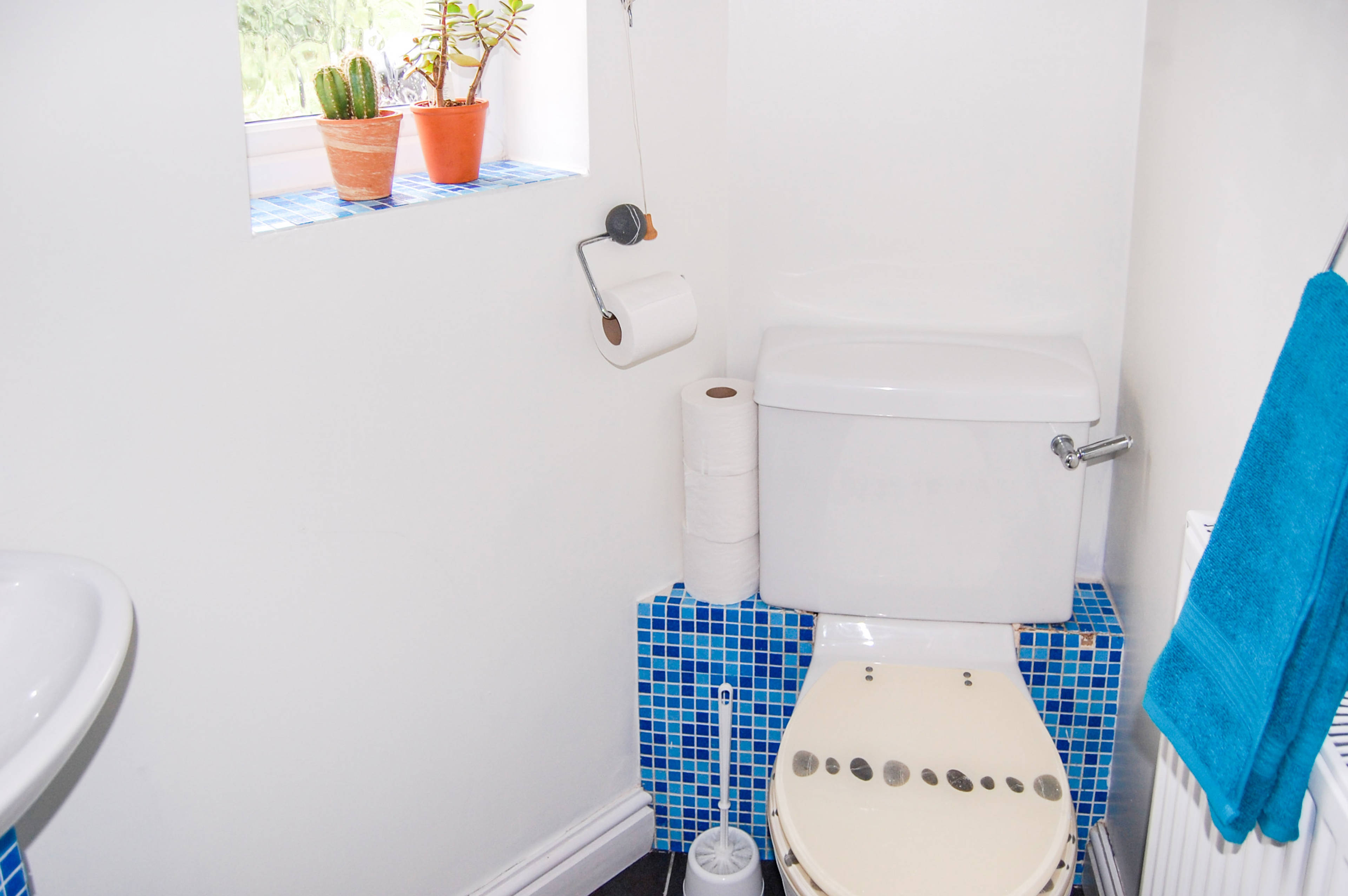 Downstairs Cloakroom
