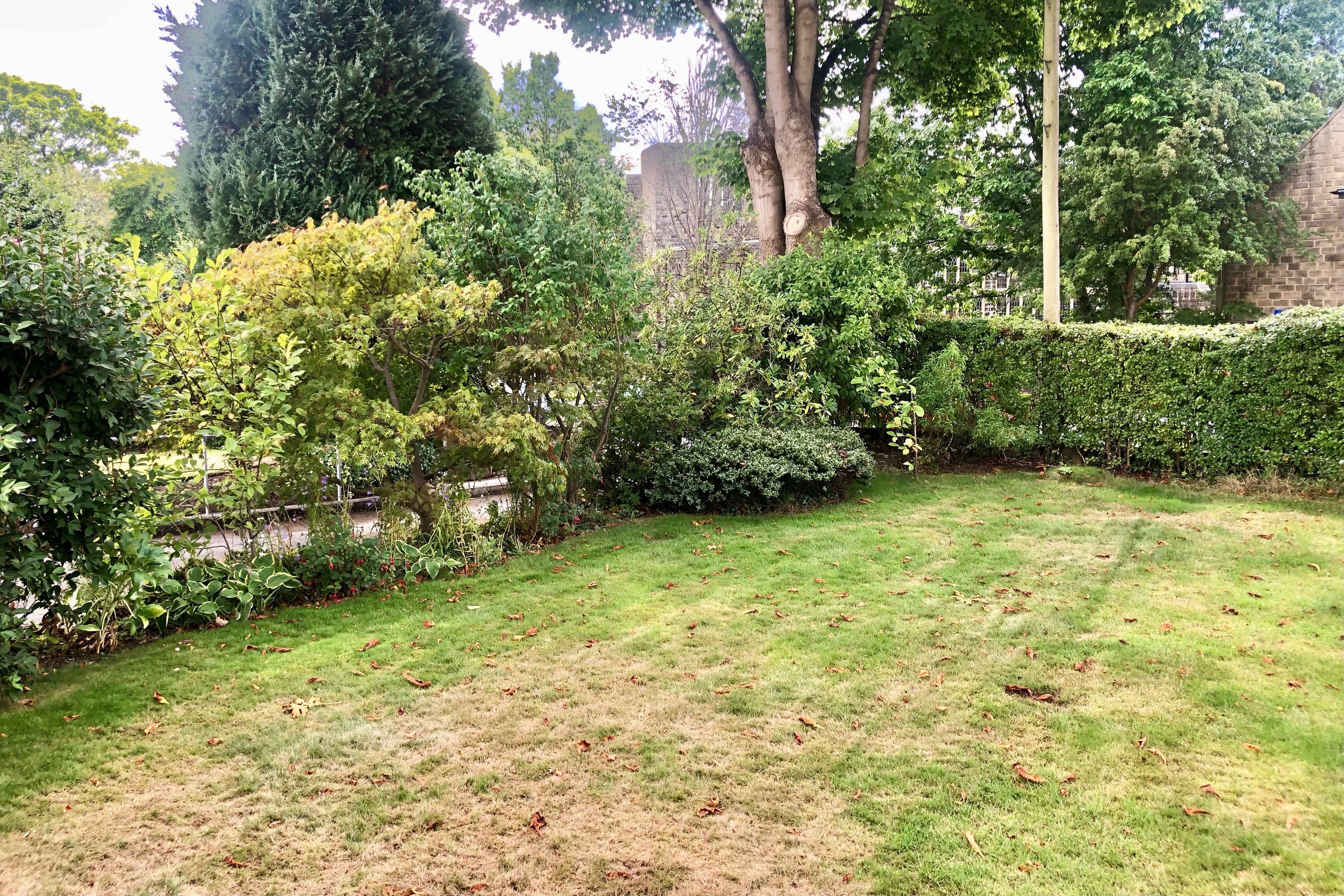 Front Garden