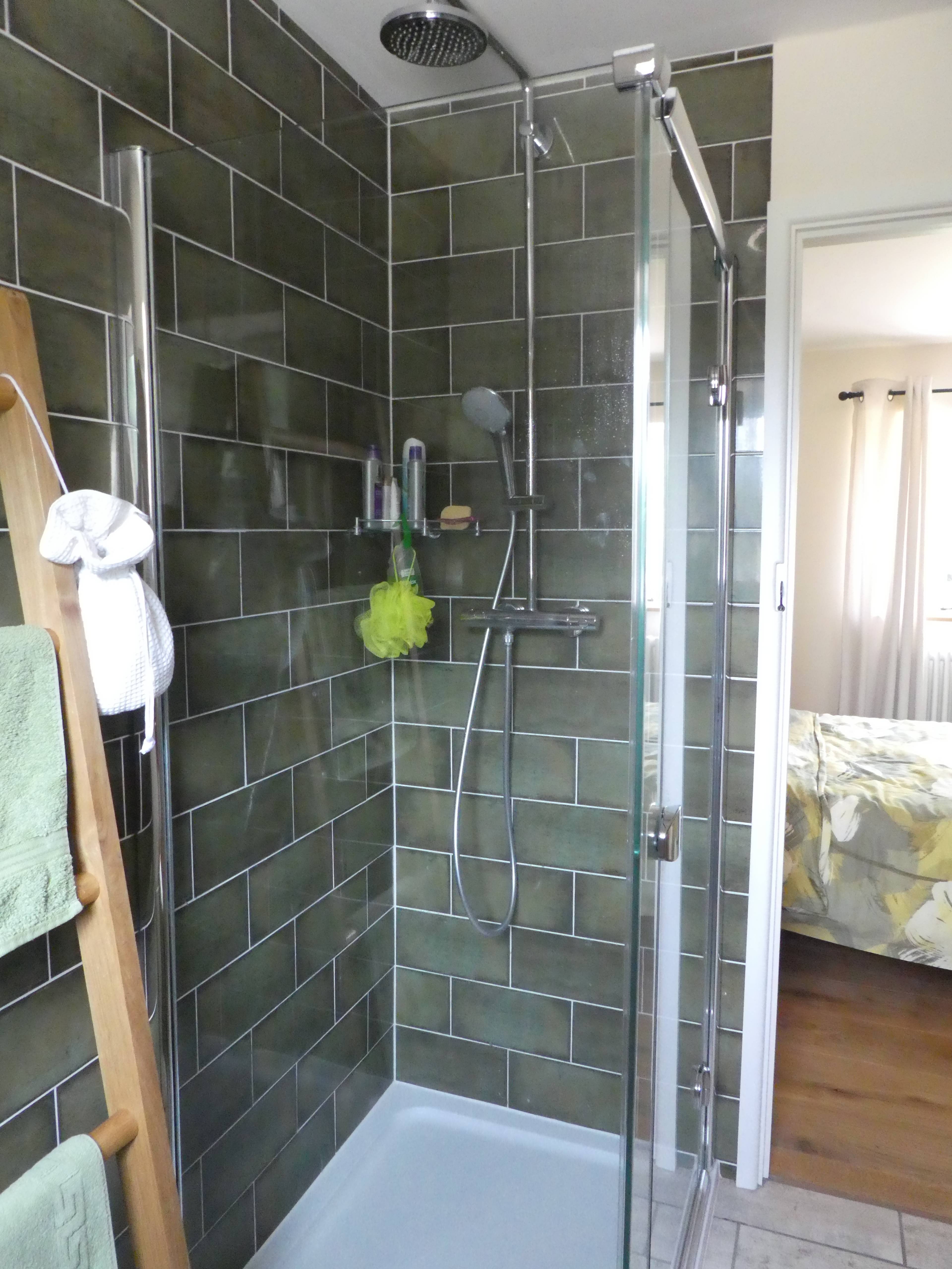 Annexe Shower Room