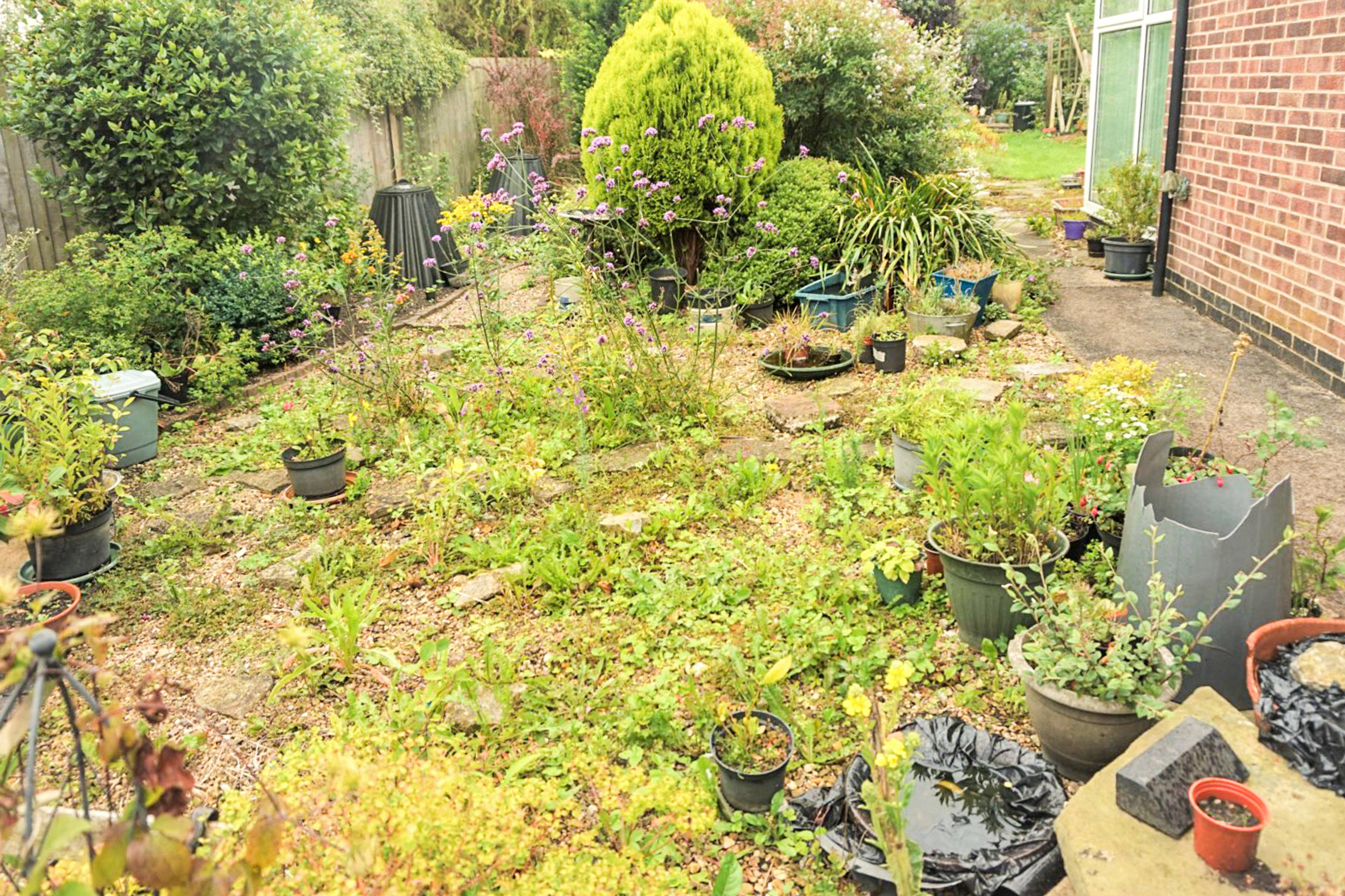 Side Garden