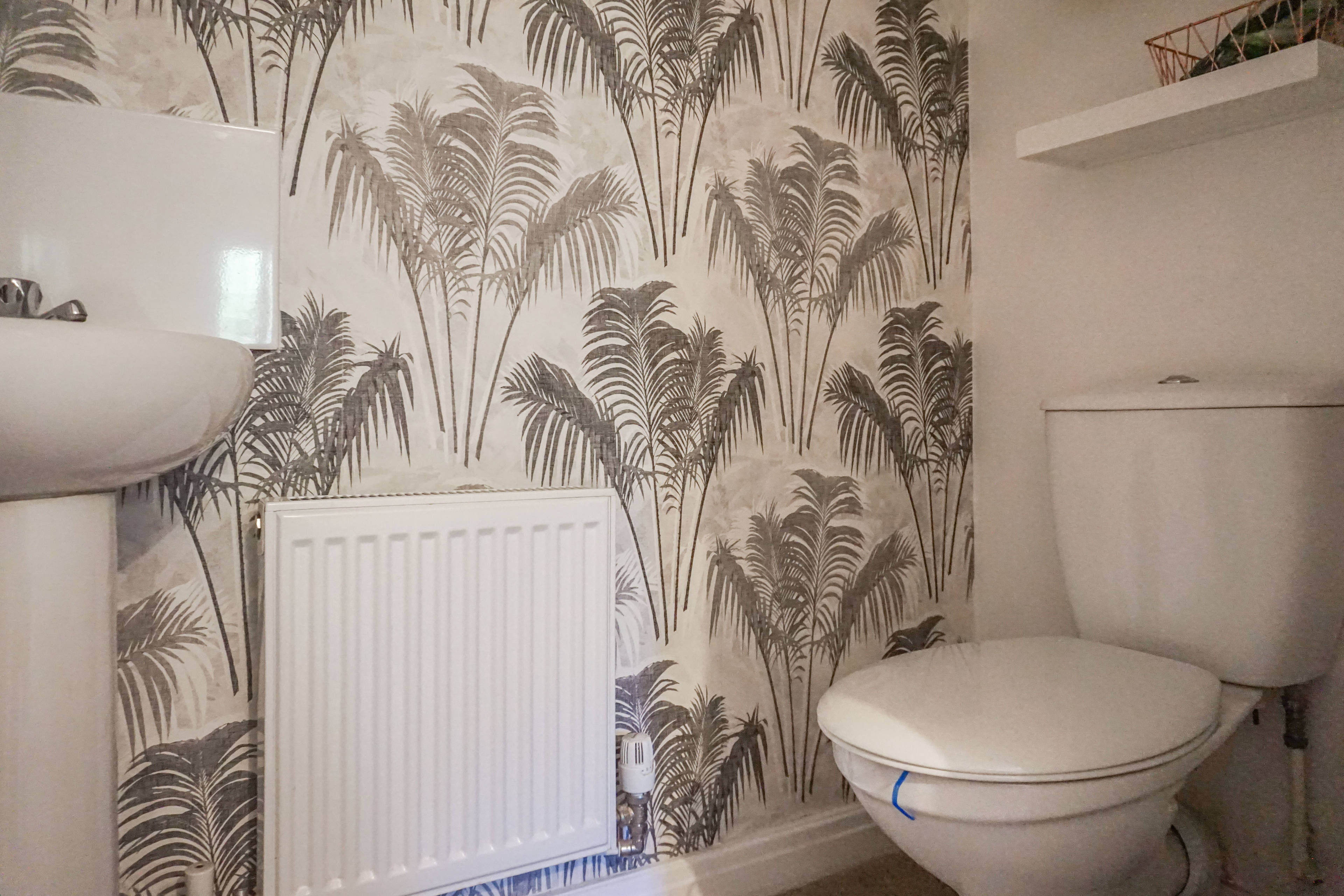 Downstairs Cloakroom